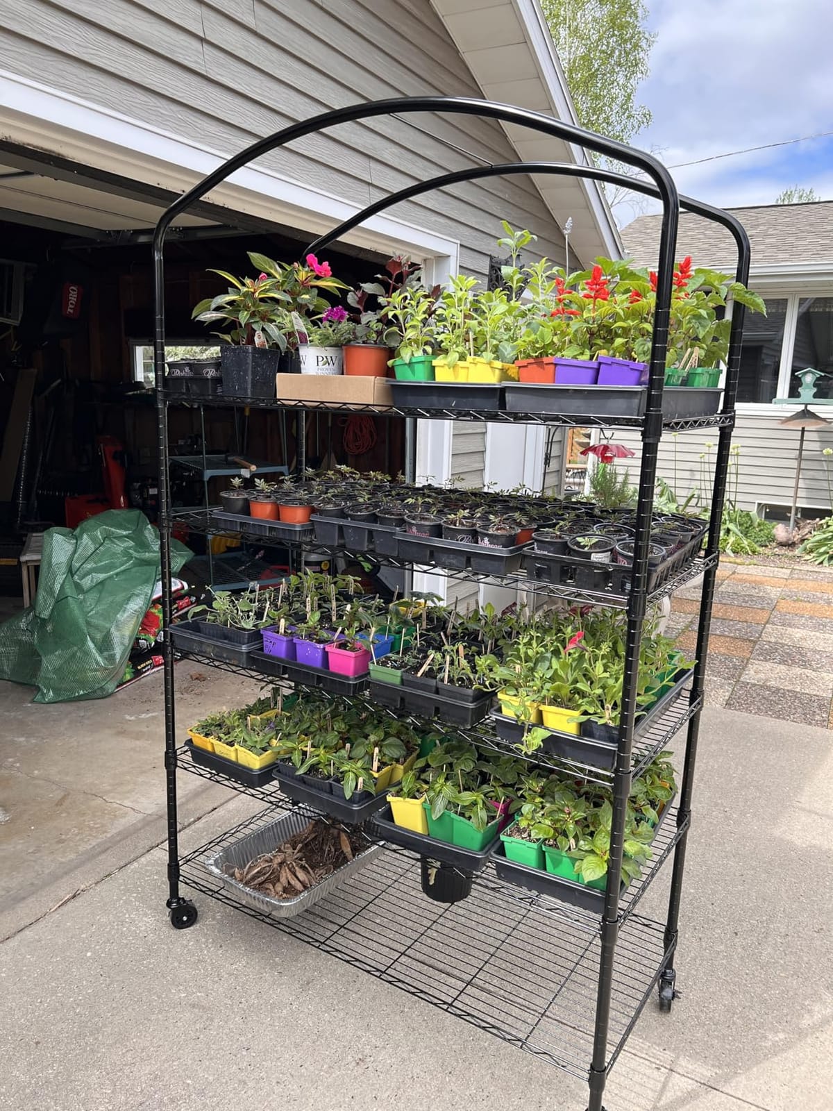 5-Tier Greenhouse with Grow Light, Shelf Height Adjustable Metal Shelf customer photo 1
