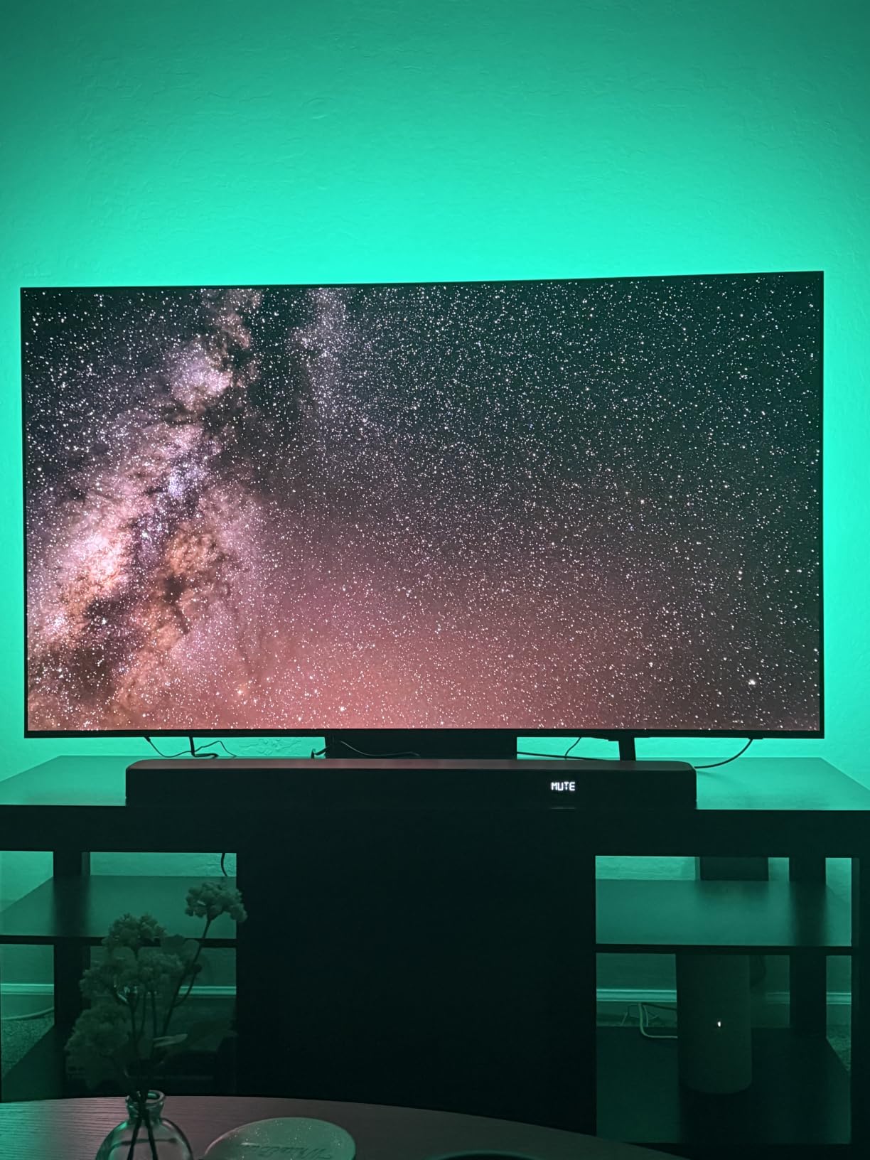 Govee TV LED Backlight, RGBIC Smart LED Strip Lights for 70-80 inch TVs customer photo 2