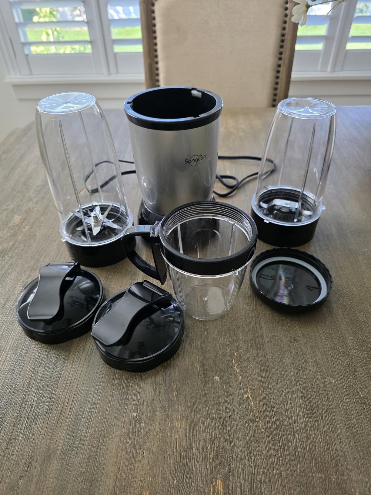 Sangcon 1000W Powerful Personal Smoothies Blender Frozen Fruit Ice Crushing customer photo 1