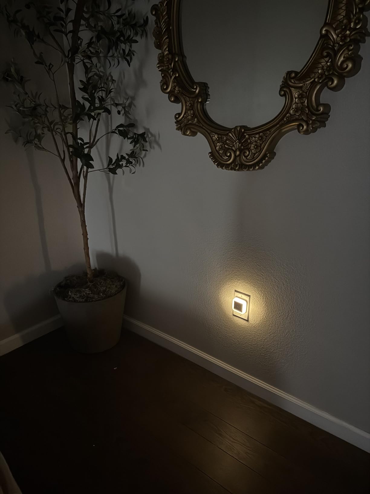 Sujeet Night Light, Night Lights Plug into Wall 8-Pack, Nightlight Plug in Night Light, Dusk to Dawn Night Lamp Led (Warm White) customer photo 1