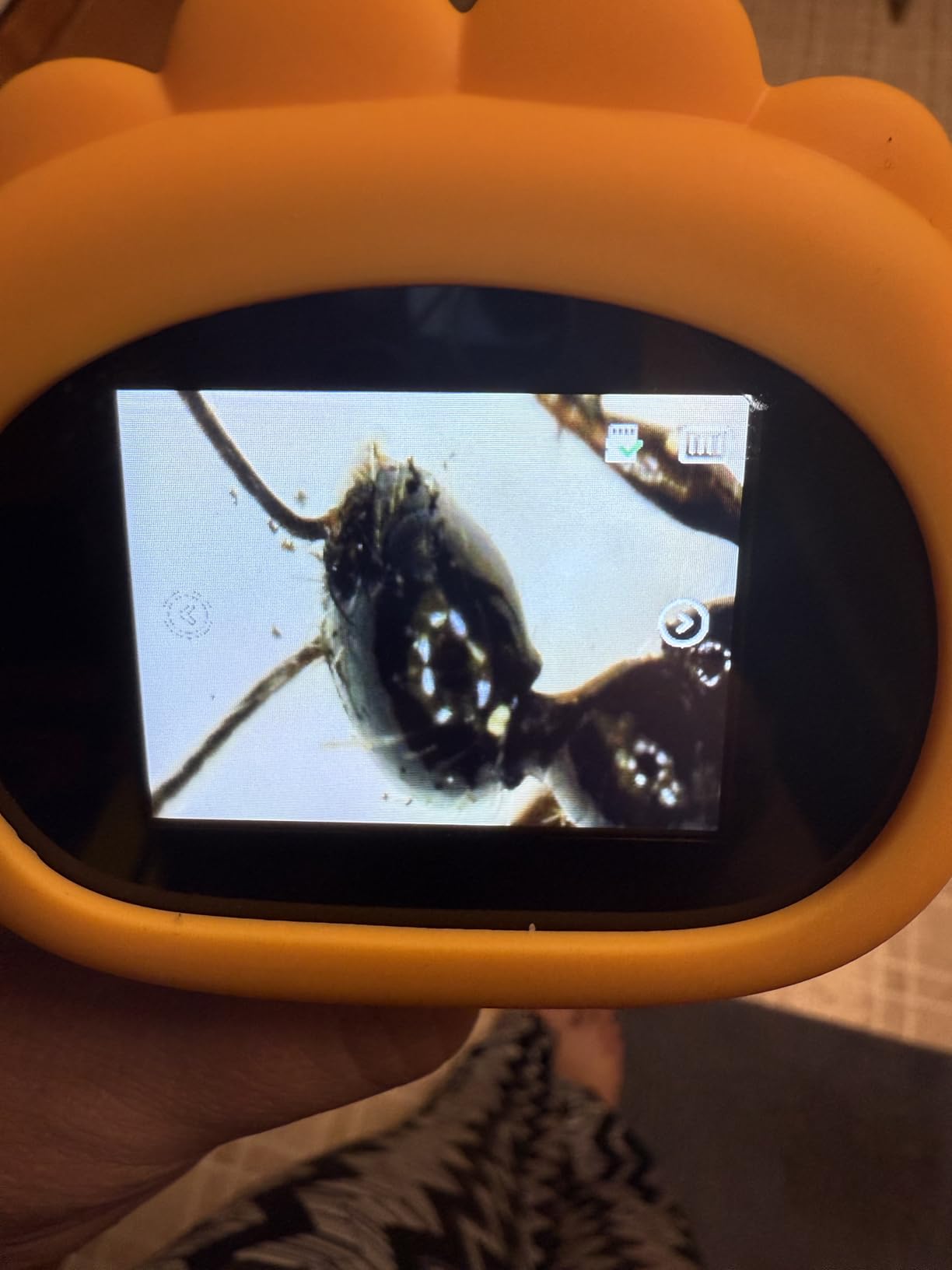 Microscope for Kids, SKYBASIC 2