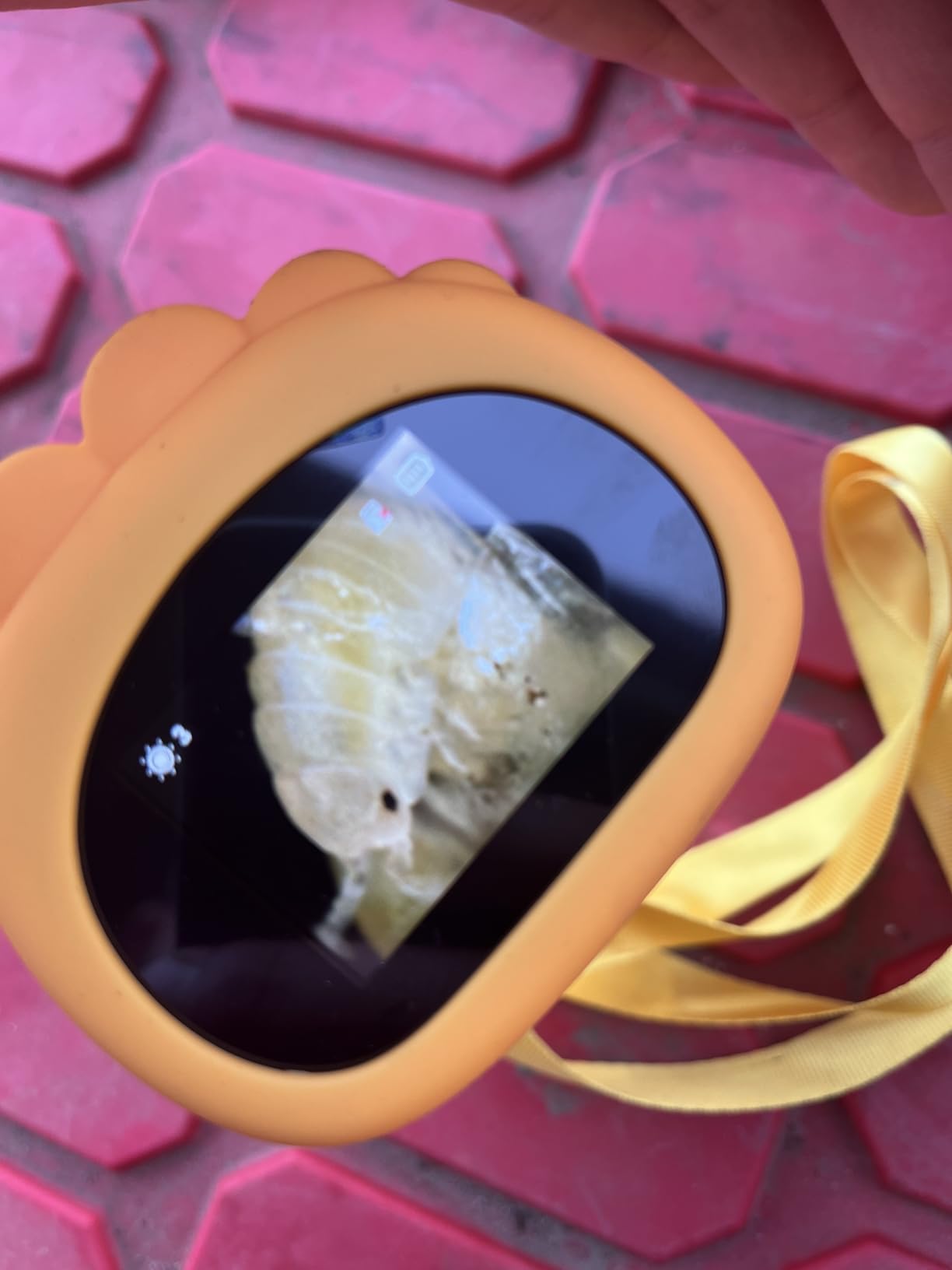 Microscope for Kids, SKYBASIC 2