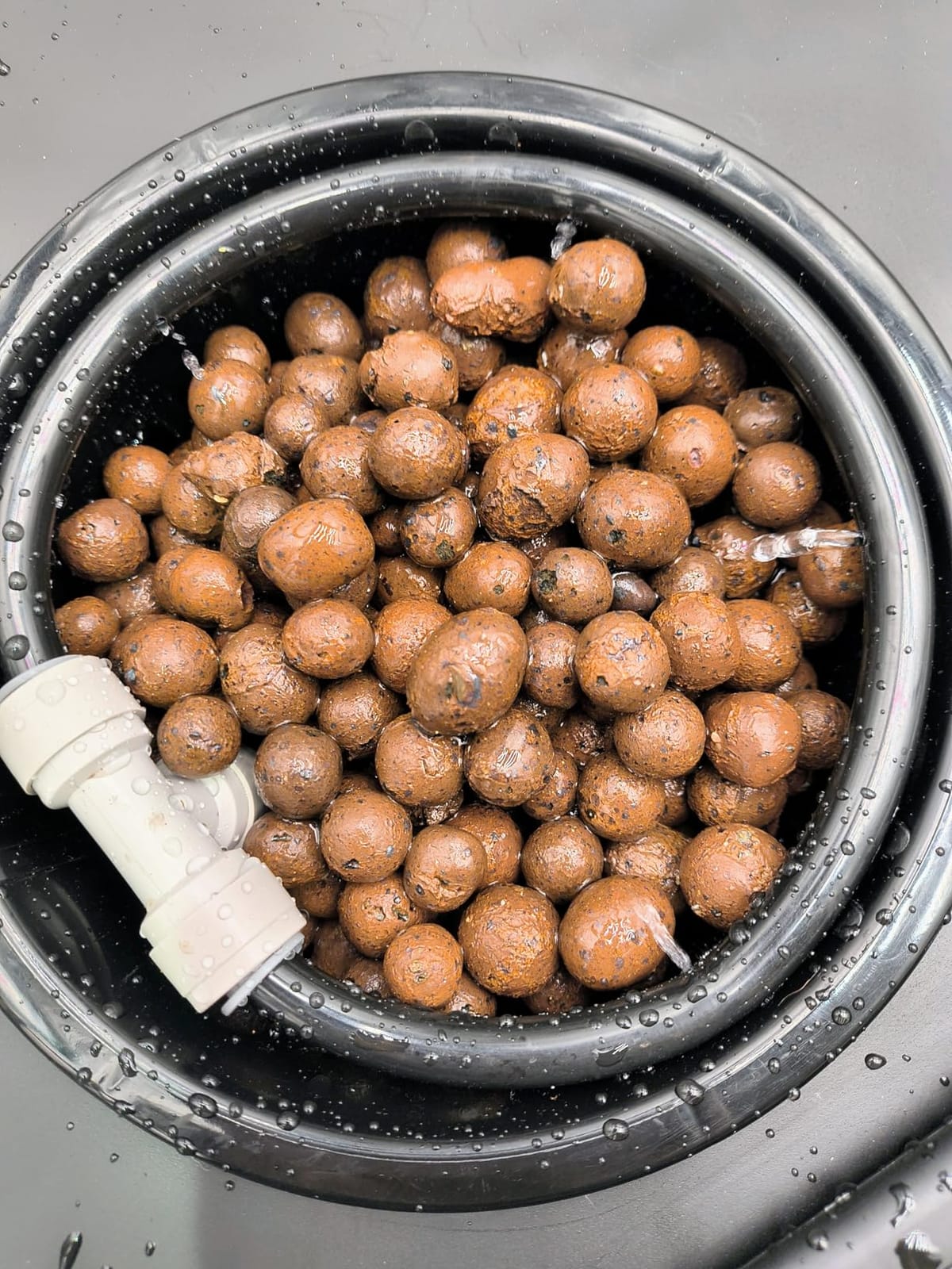 Spider Farmer DWC Hydroponics Growing System Kit 2 Buckets for Indoor Plant customer photo 1