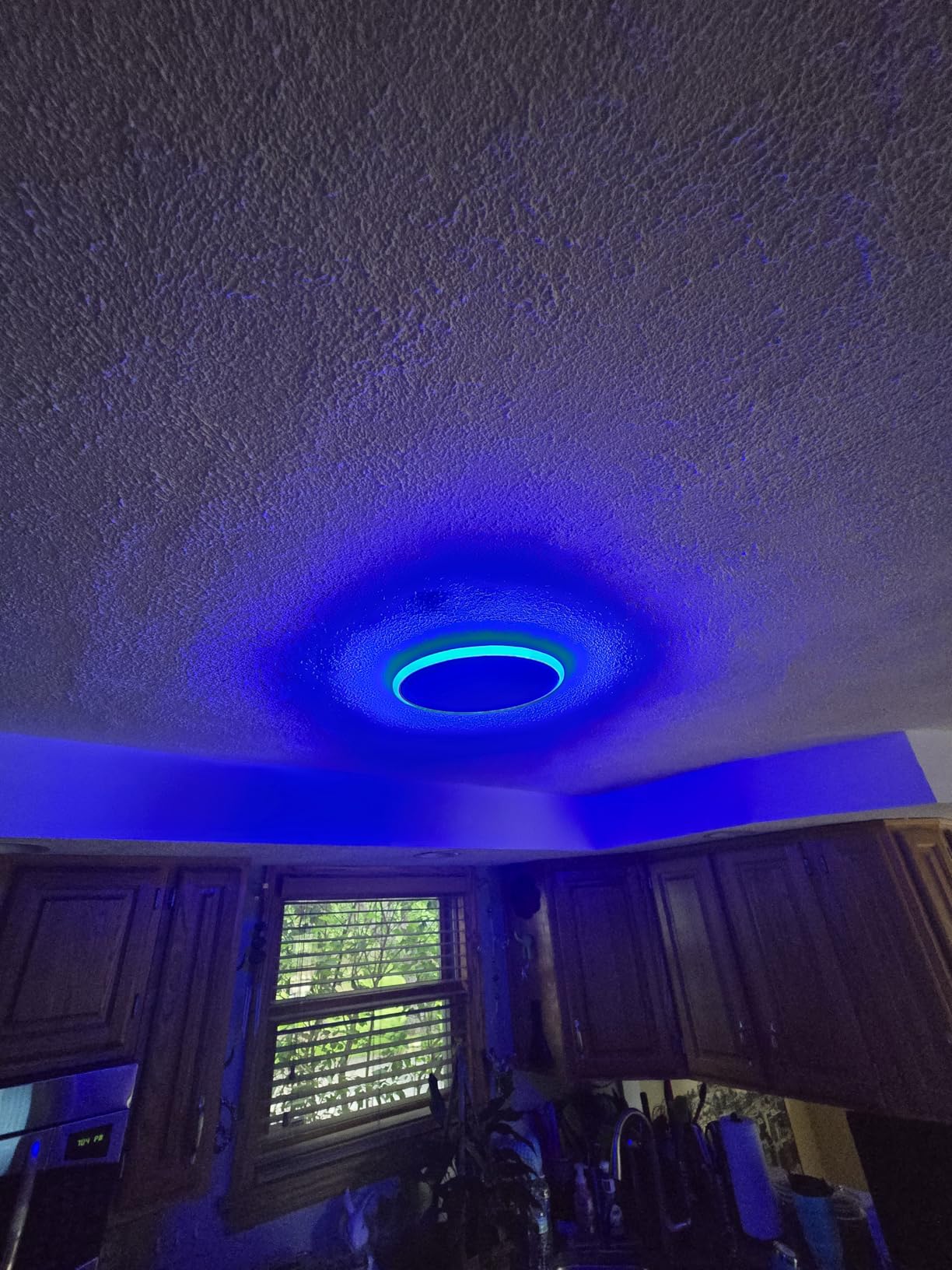 BLNAN Smart RGB LED Flush Mount Ceiling Light with Remote, 13 Inch 24W Dimmable Color Changing Low Profile Wired White Fixture, Works with Alexa Google Home App for Bedroom Living Kids Room Party customer photo 1