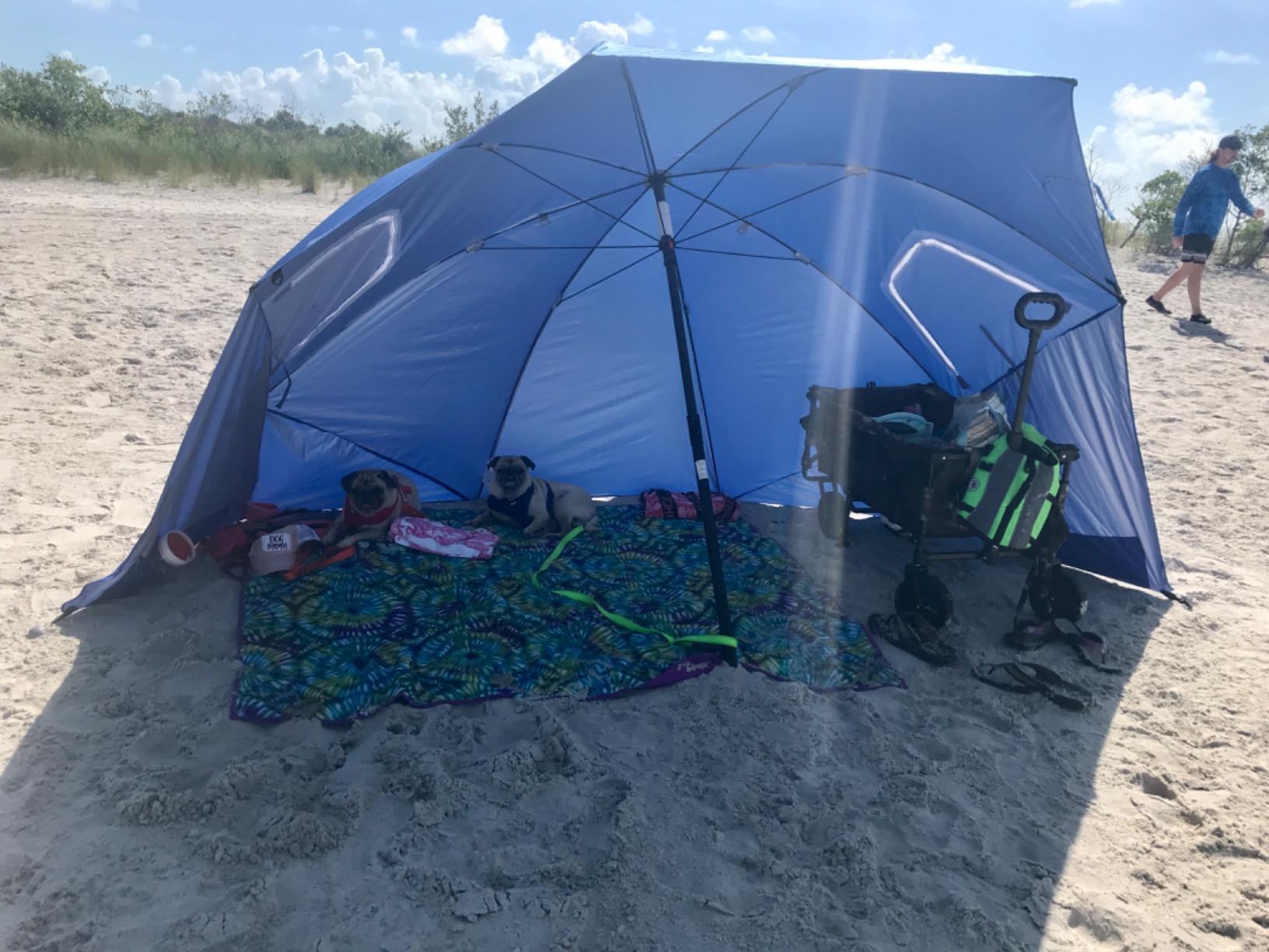 Sport-Brella Premiere UPF 50+ Umbrella Shelter with Patented Side Panels and Tilt Mechanism, Heavy-Duty 1.25 Inch Center Pole, Auger Anchor for Sand and Grass customer photo 1