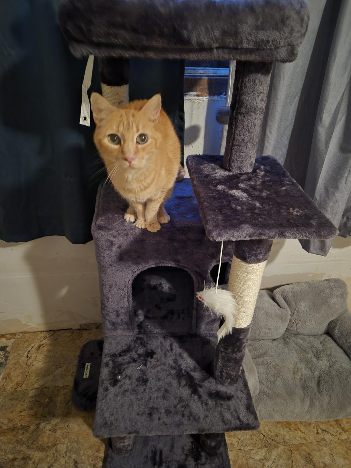 Globlazer Cat Tree Tower for Indoor Cats Large Adult, FC50, Light Grey customer photo 1