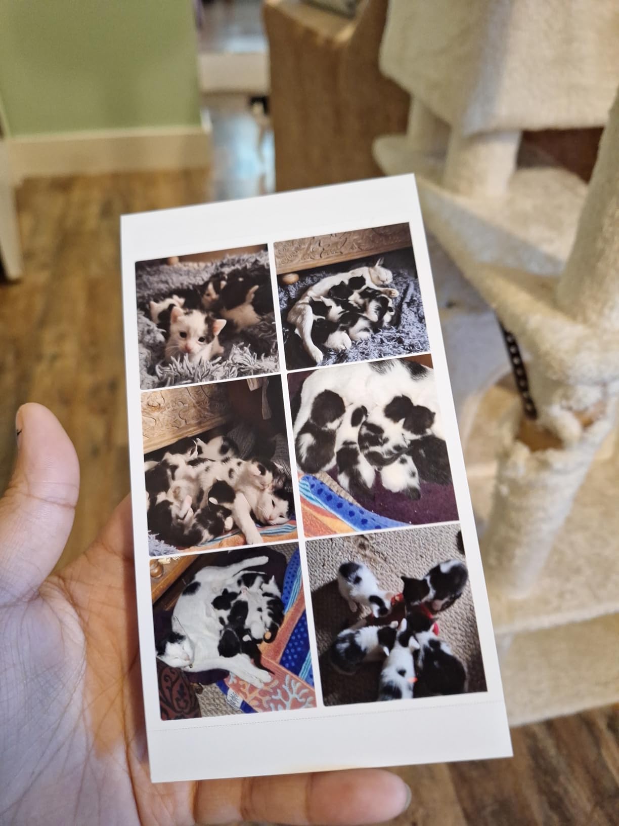 HPRT Photo Printer 4x6 with 108 Sheets Photo Paper & 2 Ribbons | Instant Picture Printer for iPhone & Android, Bluetooth, Wi-Fi (built-in hotspot), Dye Sublimation, Portable, Home Use customer photo 1