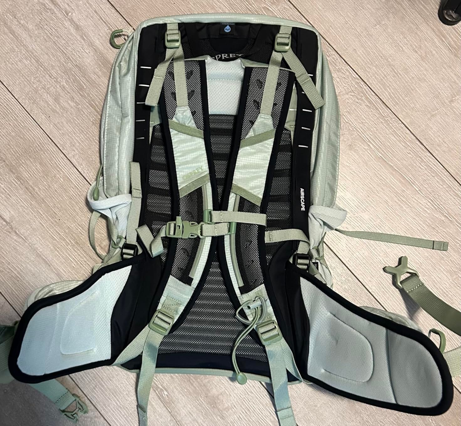 Osprey Tempest 22L Women's Lightweight Hiking Backpack, Green OS customer photo 2