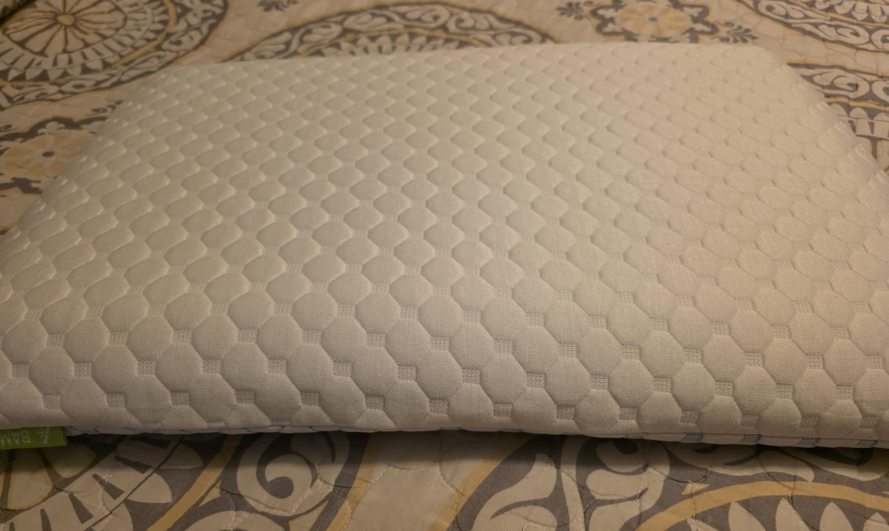 CloudBliss Thin Memory Foam Pillows, Reversible Design, 2.75