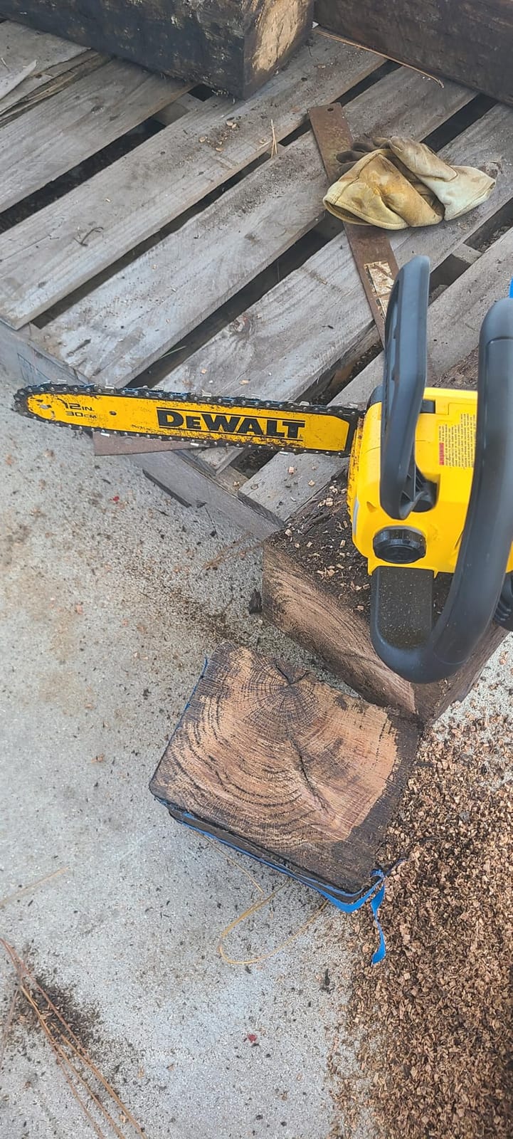 20V MAX 12 in. Cordless Battery Powered Chainsaw (Tool Only) customer photo 2
