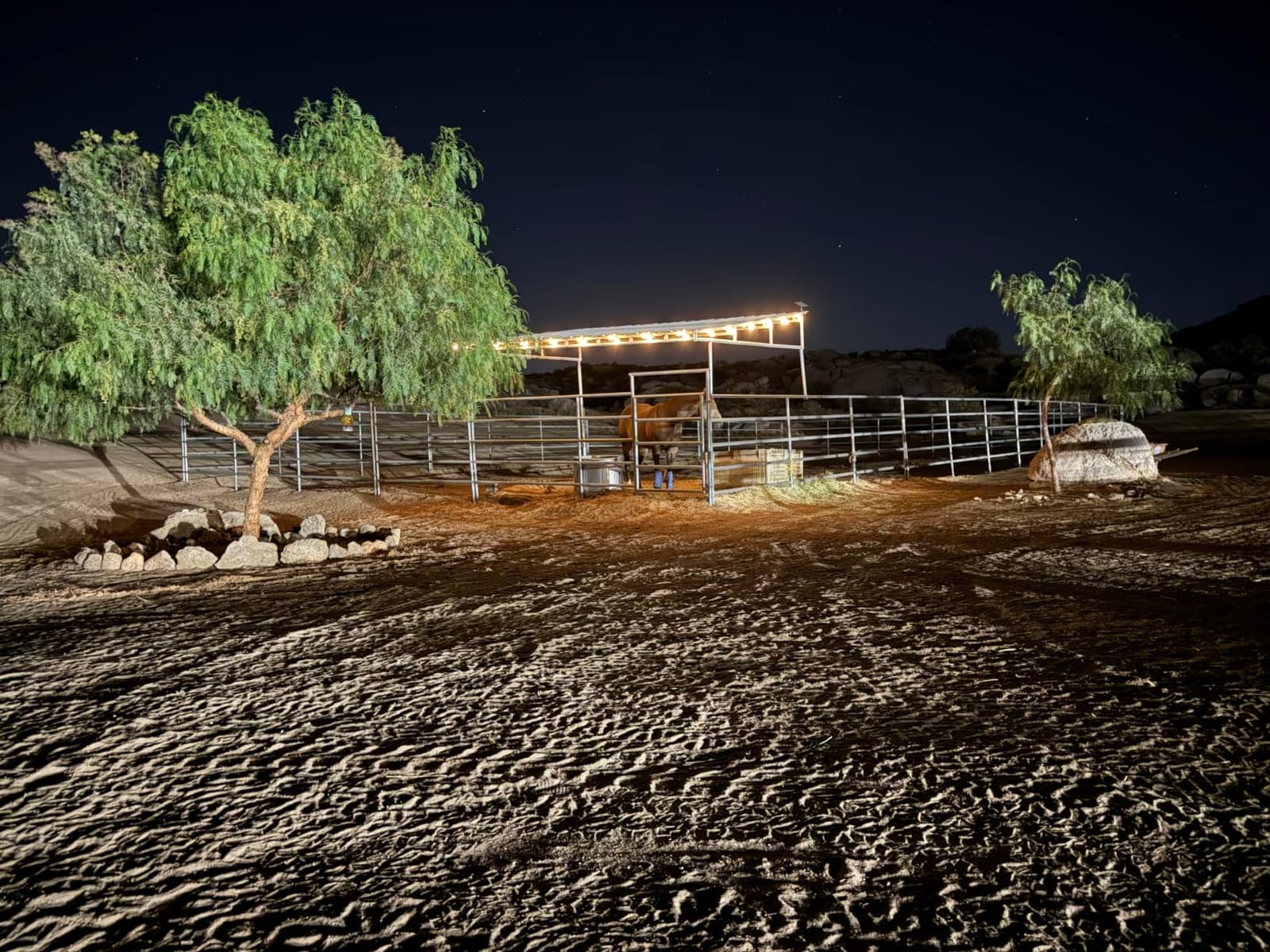 Brightown 108FT 52LED Solar String Lights Outdoor with Remote & USB Port customer photo 1