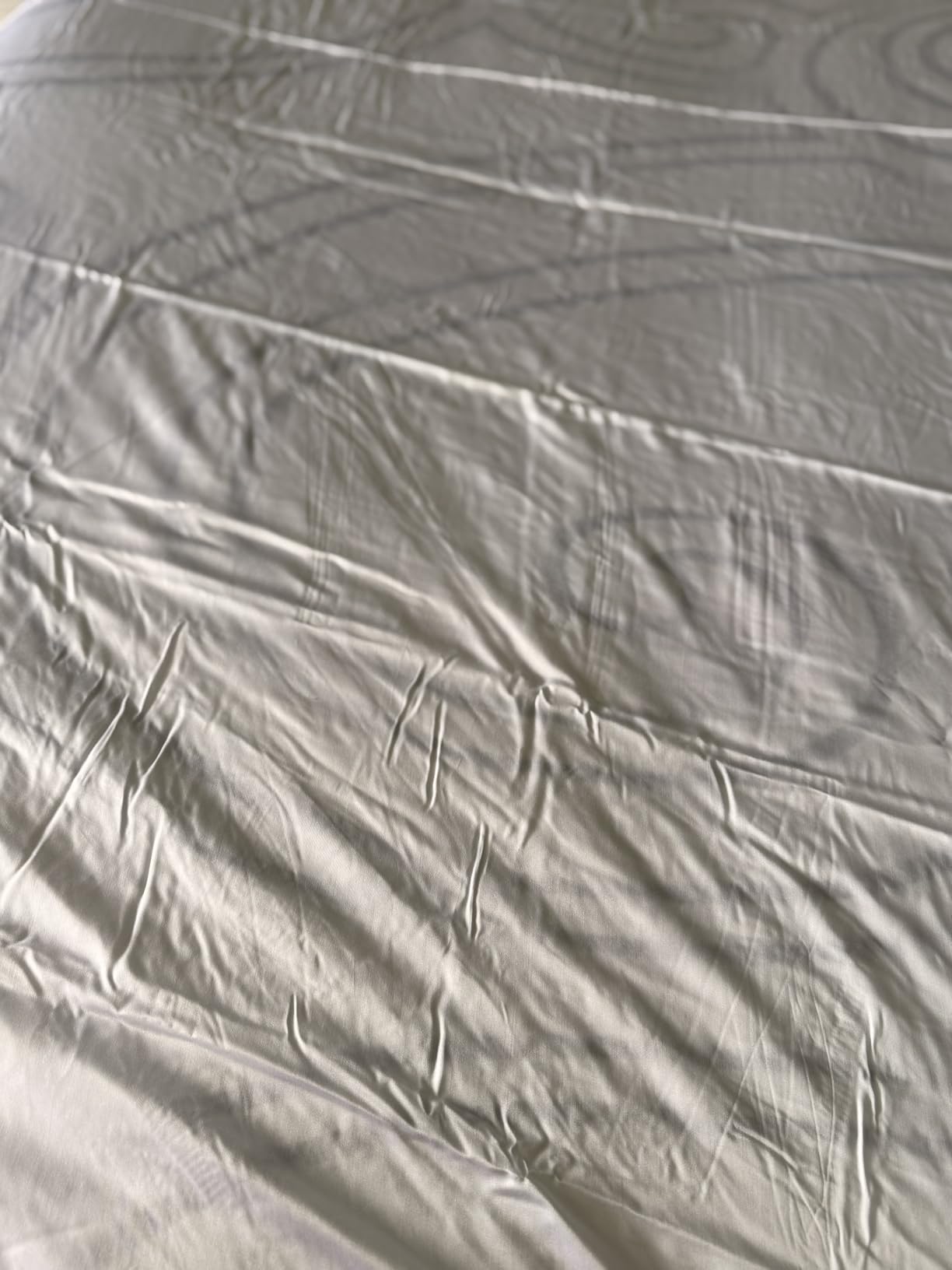 CASILVA Eucalyptus Sheets, Softer Than Silk Fibers, Queen Sheet Set customer photo 1