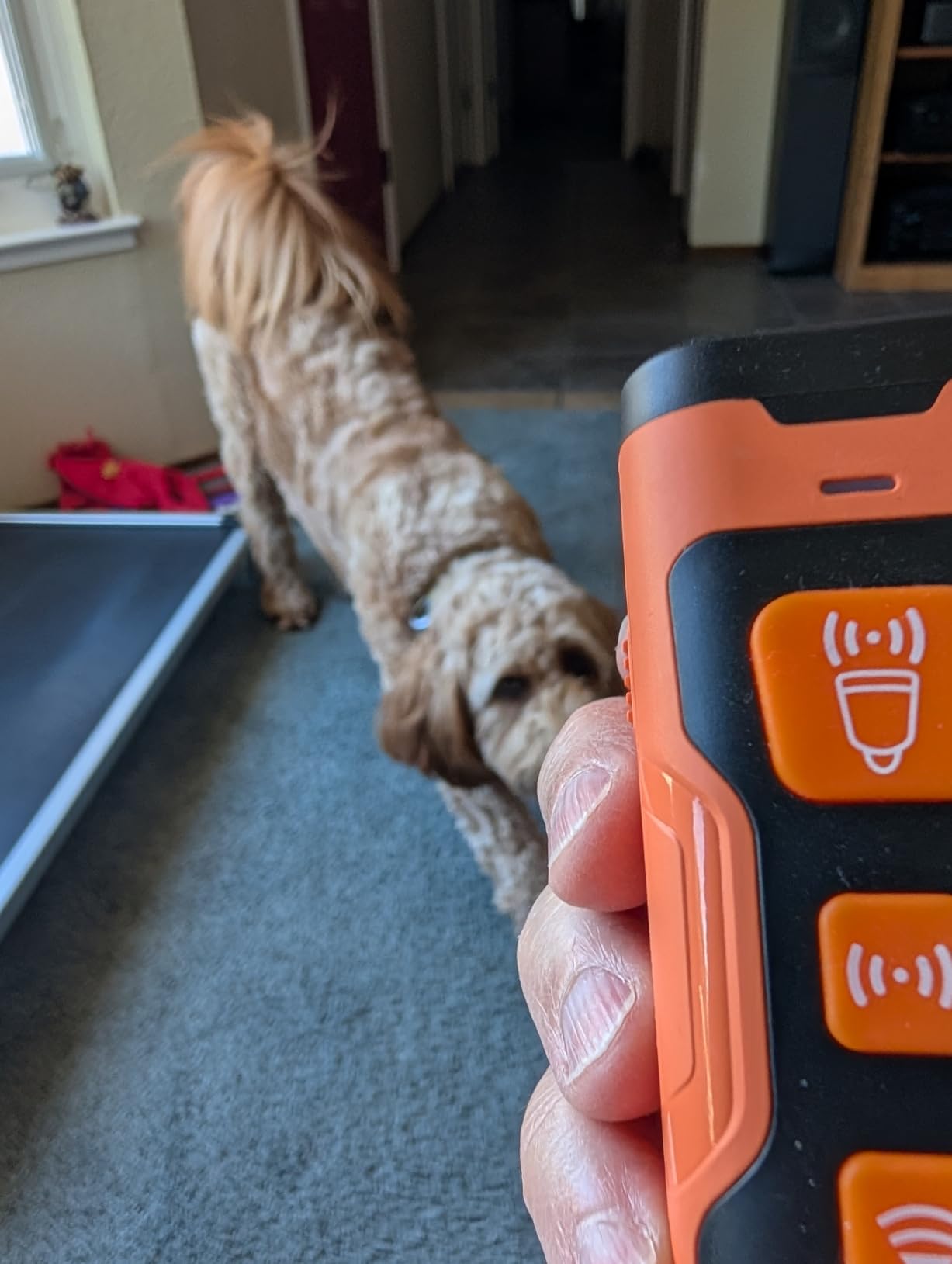 YUYQA Dog Bark Deterrent Device, 3X Ultrasonic Anti Barking, 6 Training Modes 23 FT Range Barks No More Indoors Outdoors Behavior Correct Safe & Humane Rechargeable Compact Bark Control for Dogs customer photo 1