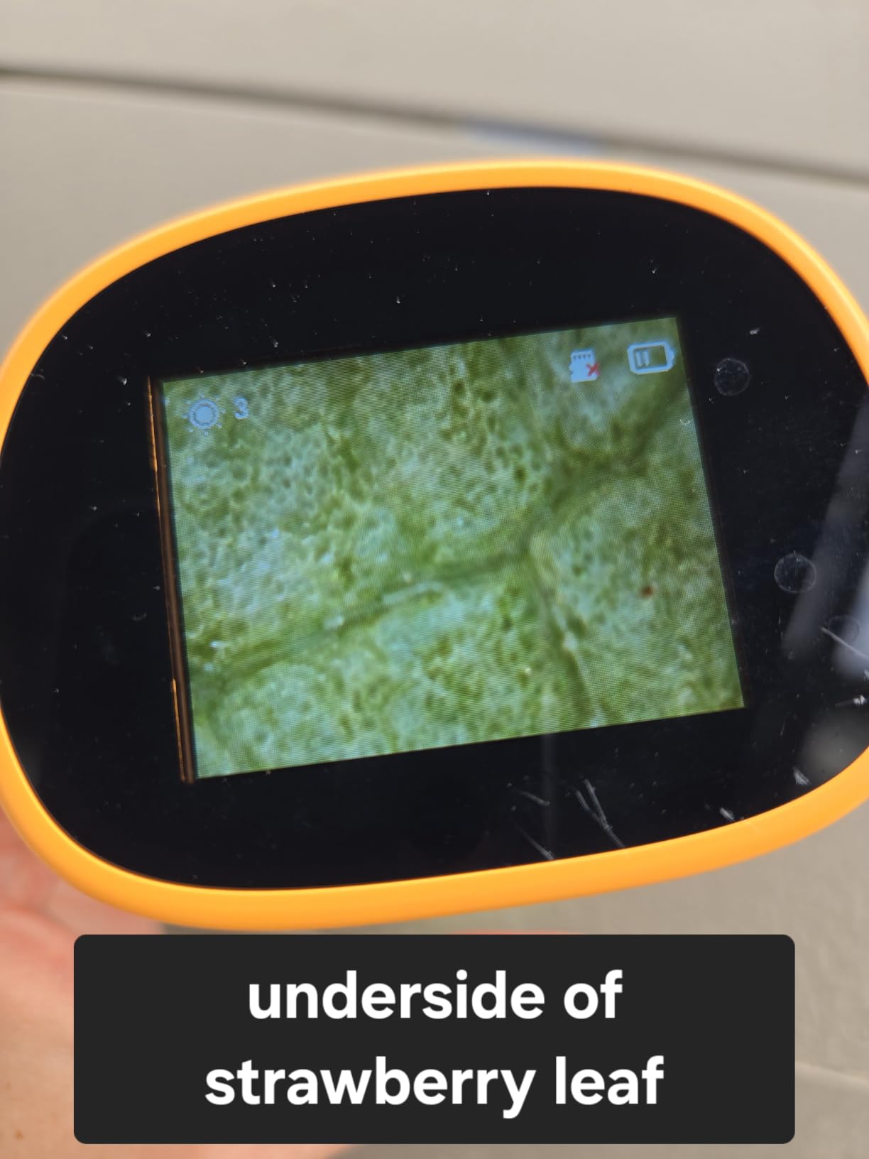 Microscope for Kids 1000X Handheld Digital Miniscope Stem Toys Gifts customer photo 2