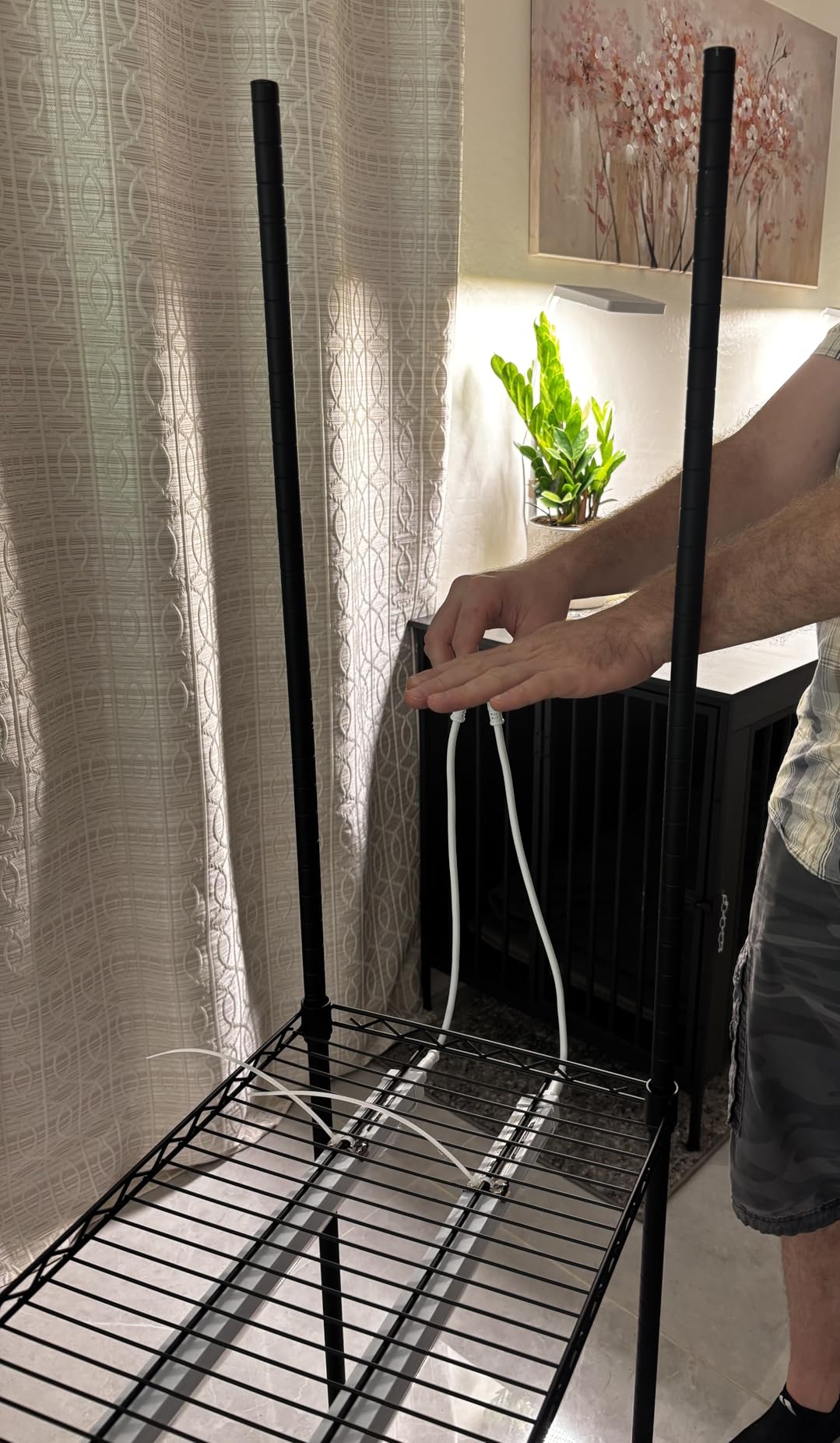 MARS HYDRO Indoor Greenhouse with Grow Light customer photo 2