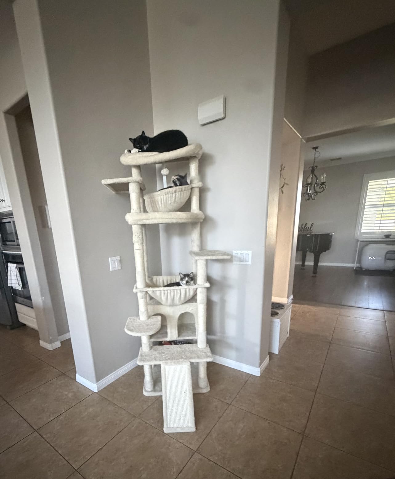 Heybly Tall Cat Tree for Large Cat, 75.2-inch Multi-Level Cat Tower HCT038G customer photo 2