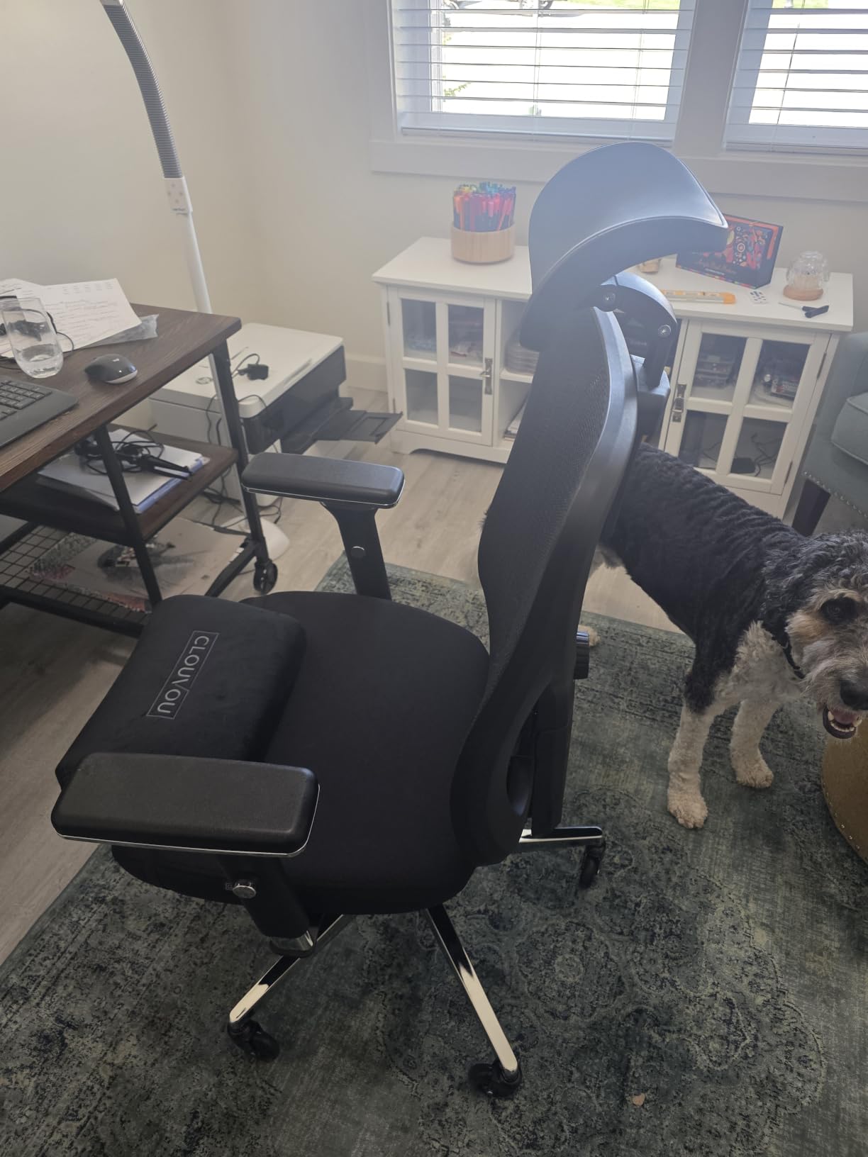 Ergonomic Office Chair Comfy [#1 in Tests] customer photo 2