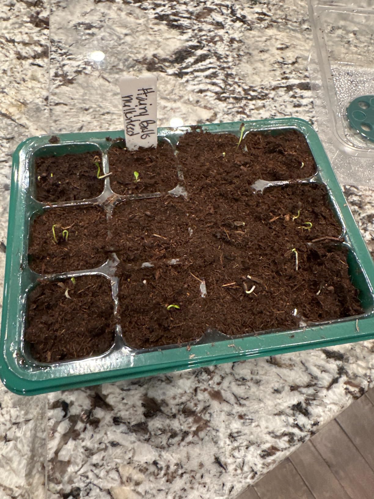 Sckee 6 Pack Seed Starter Tray with 10