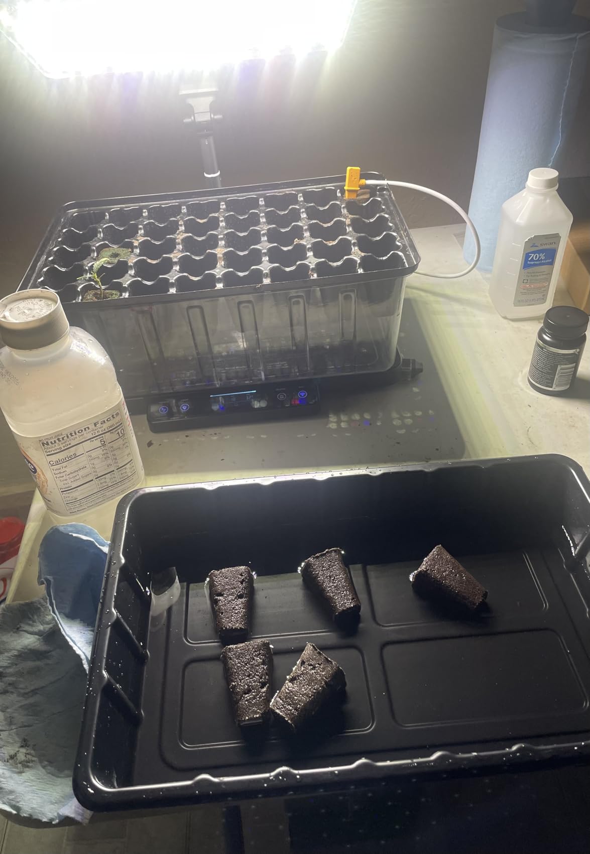 LetPot Smart Seed Starter with Humidity Dome, Germination Kit with Waterproof Seedling Mat, 24W Full Spectrum LED Grow Light, Smart Heating Base, EC Soil Sensor & App Control for Indoor Seed Starting customer photo 2