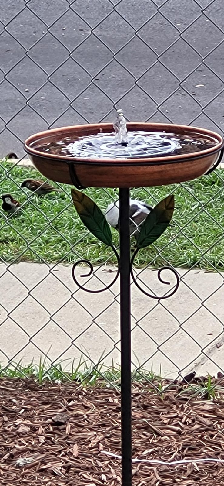 Yzert Solar Fountain, 3-Level Adjustable Water Height, 3.5W Glass Powerful Outdoor Fountain Pump with Rotating Rods & 7 Nozzles for Bird Bath, Garden, Pond, Patio, Flower Pot (2026 Model) customer photo 2