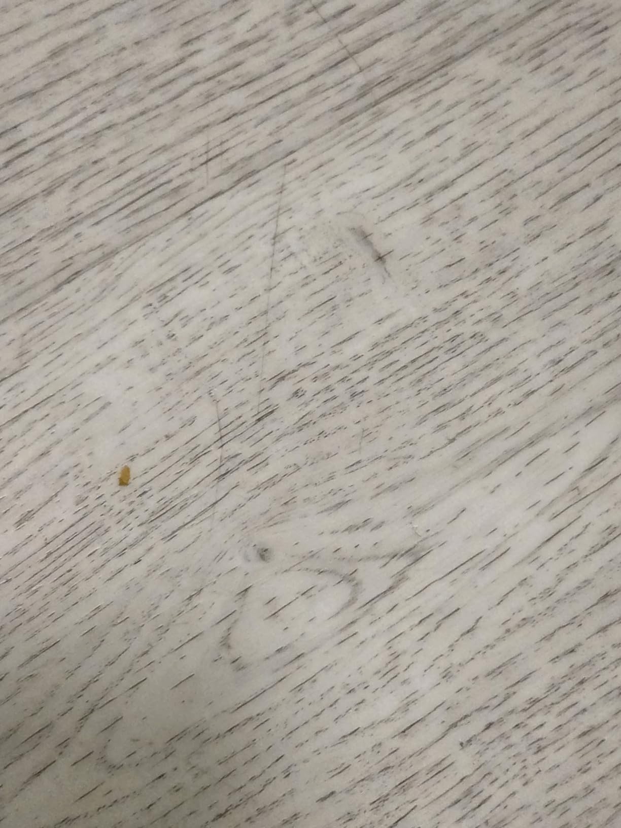 Steam Mop Cleaner 260°F Steam in 15s, 16.9oz Tank Hardwood and Tile customer photo 2