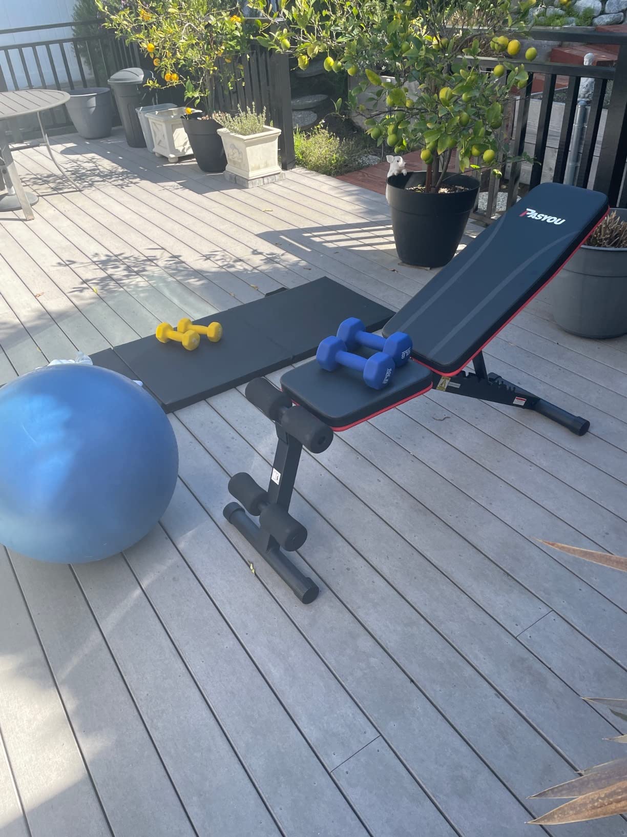 PASYOU Adjustable Weight Bench, Foldable, Incline Decline Flat, Bench Press with 660LBS, 95% Pre-Assembled, Compact Workout Bench Full Body Strength Training Bench for Home Gym, Wider Seat customer photo 2