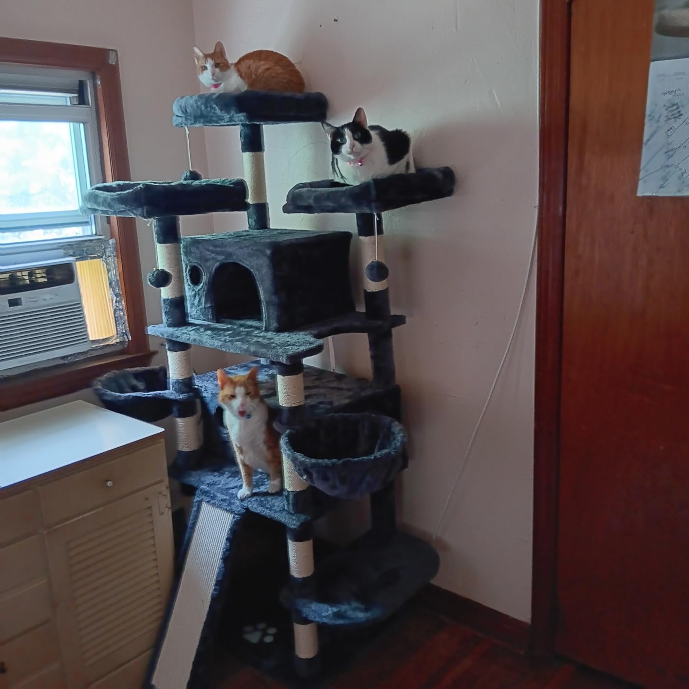 Allewie 82 Inches Large Cat Tree/House/XXL Tall Cat Towers for Big Feline/Scratching Post/Multi-Level Large Kitty Climbing Tree with Condo/Smokey Grey customer photo 1