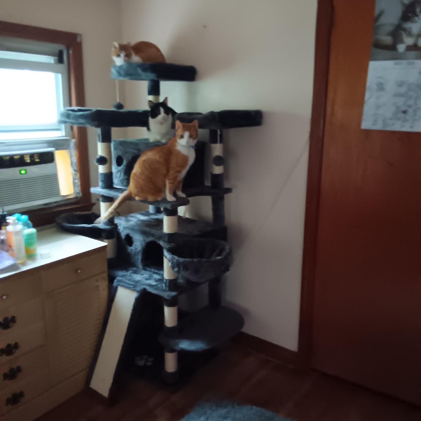 Allewie 82 Inches Large Cat Tree/House/XXL Tall Cat Towers for Big Feline/Scratching Post/Multi-Level Large Kitty Climbing Tree with Condo/Smokey Grey customer photo 2