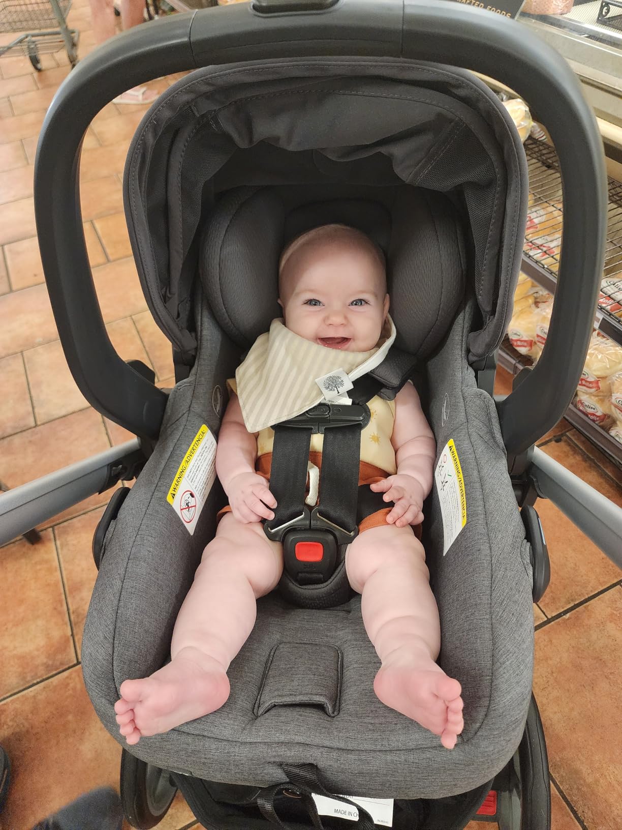 UPPAbaby Mesa V3 Infant Car Seat with Base, Insert & SmartSecure - Ada customer photo 1