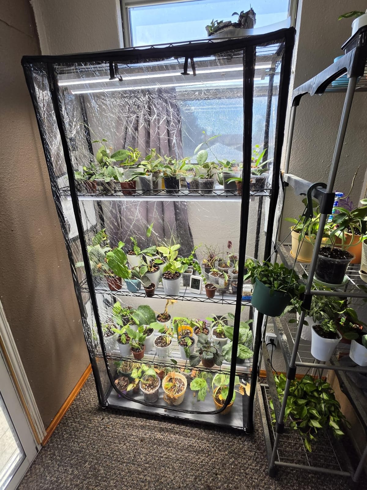 JESLED Plant Shelf with Grow Light, 29.5x13.8x70IN customer photo 1