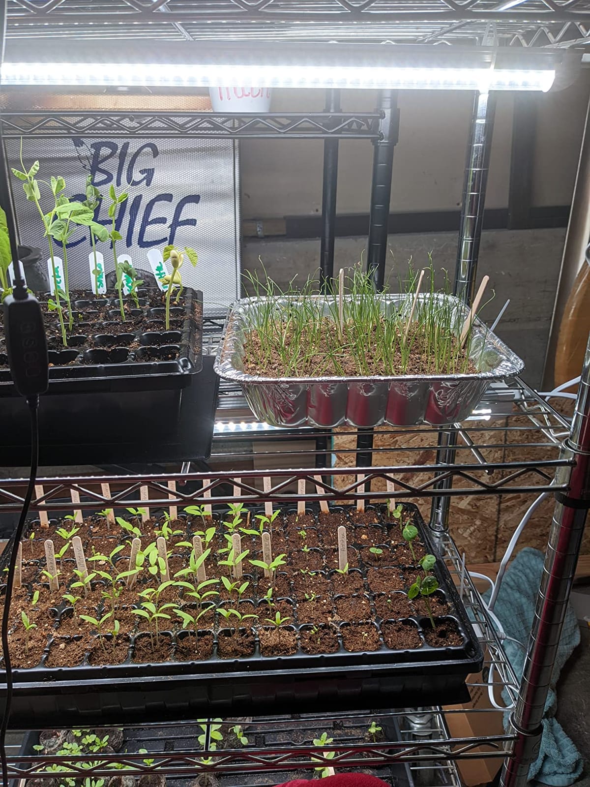 JESLED Plant Shelf with Grow Light, 29.5x13.8x70IN customer photo 2
