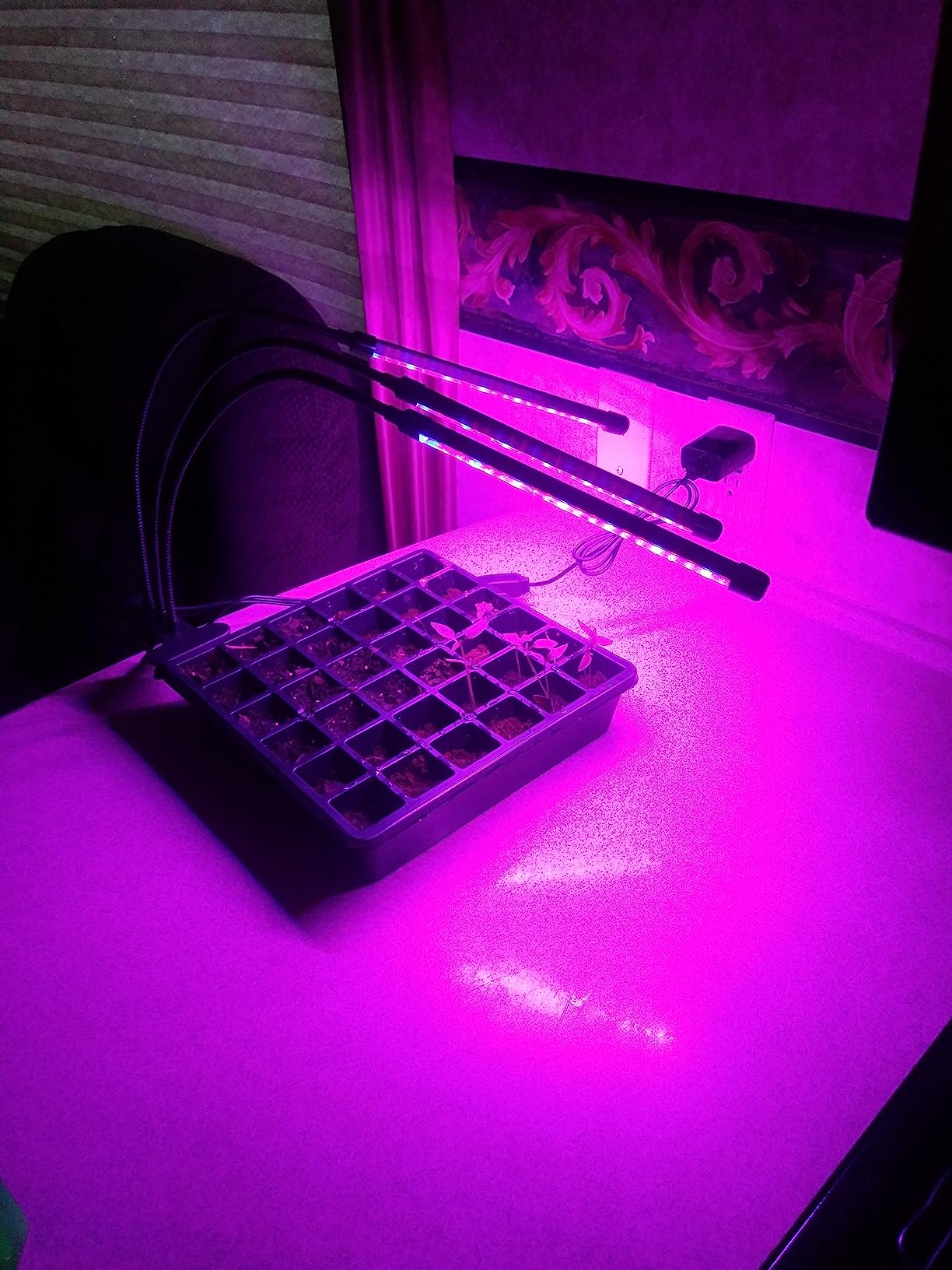 bseah Grow Light Plant Lights for Indoor Plants, Full Spectrum Clip on Growing Lamp, Auto On Off Timing 3 9 12Hrs customer photo 1