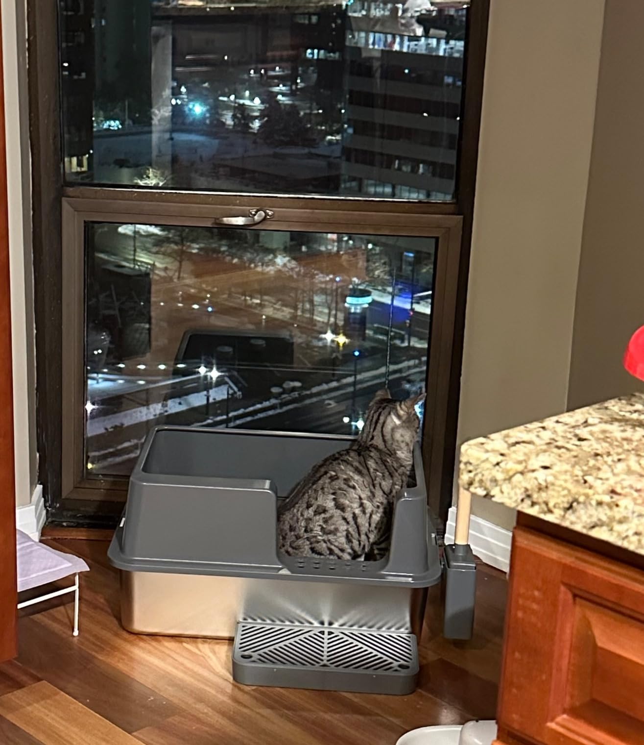 Happypaw XXXL Open-Top Automatic Self Cleaning Litter Box for Multiple Cats customer photo 1