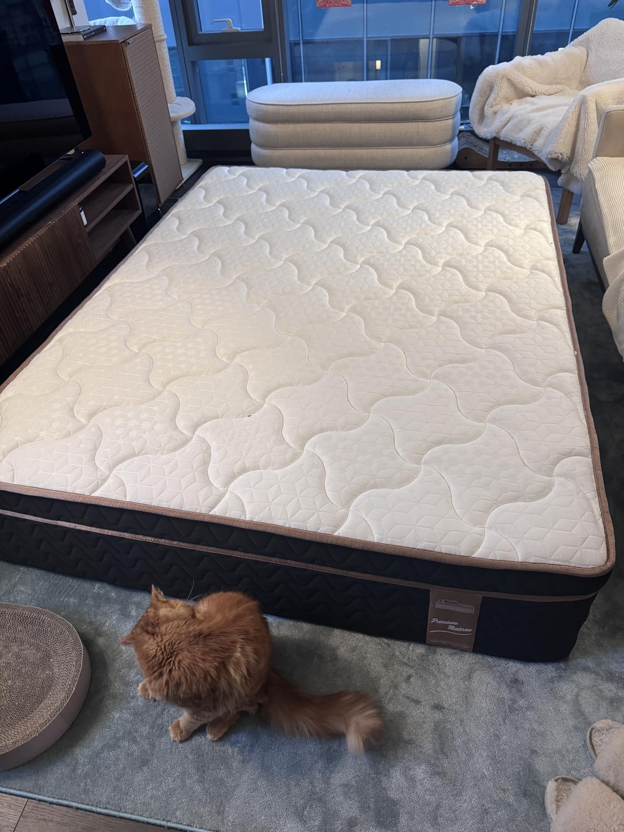 Queen Mattress 12 Inch, Cooling Hybrid Bed in a Box, 7-Zones Individual Pocket Spring, Motion Isolation, Targeted Hip/Shoulder/Lumbar Support, Fiberglass-Free, 365-Night Trial, CertiPUR-US customer photo 2