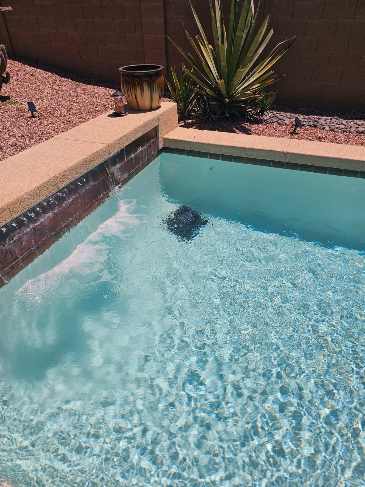 (2026 Upgrade) Beatbot AquaSense 2 Cordless Pool Vacuum Robot - Intelligent Path Optimization, Cleans Floor, Walls & Waterline, for Above & In-Ground Pools up to 3,230 sq.ft, Smart Parking, Dark Blue customer photo 2