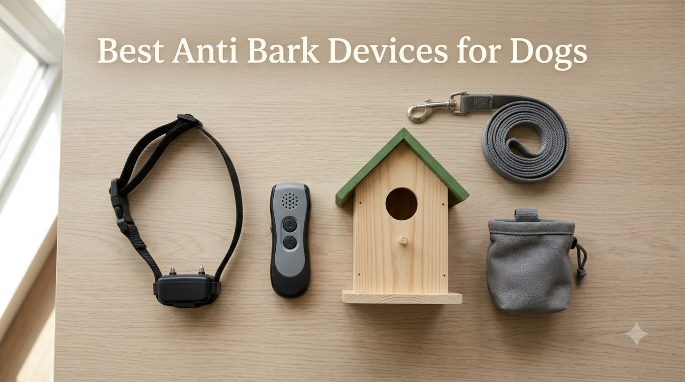 10 Best Anti Bark Devices for Dogs (September 2026) Tested
