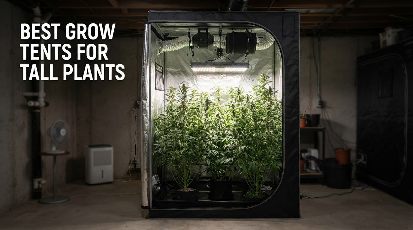 10 Best Grow Tents for Tall Plants (October 2026)