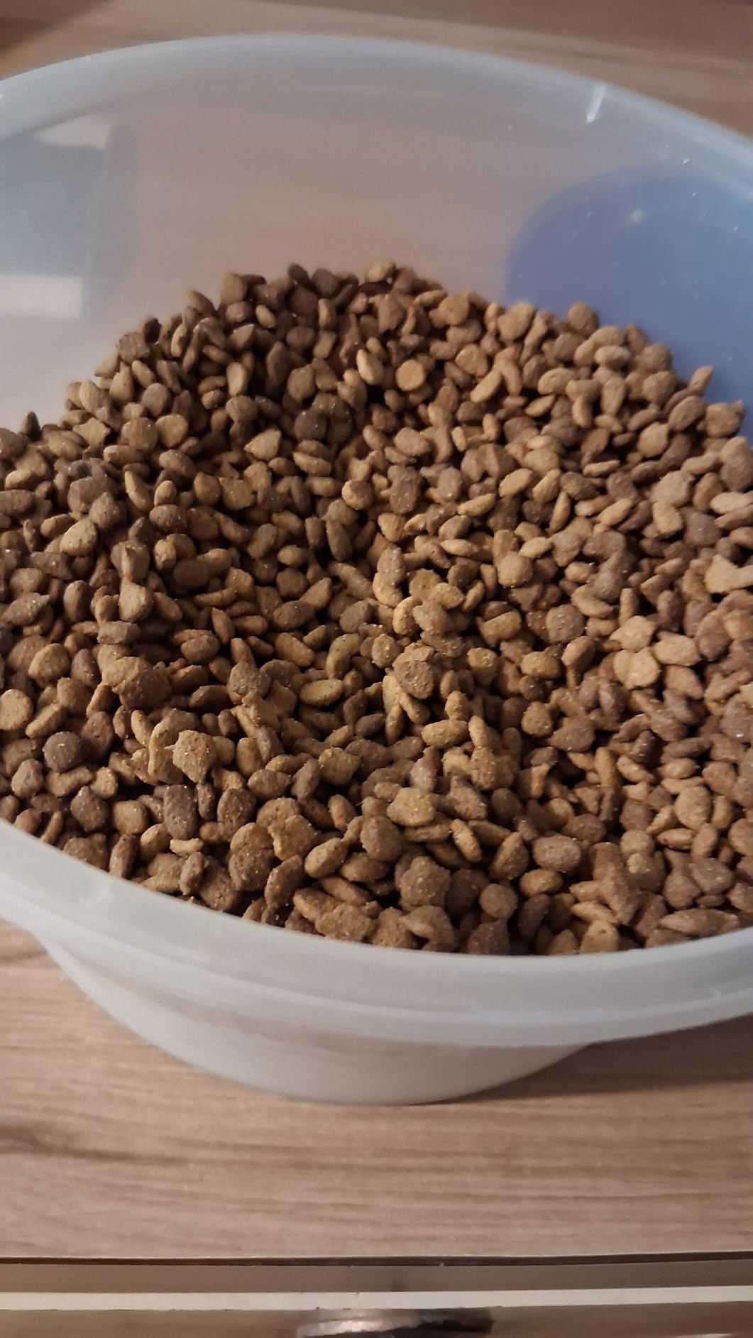 IAMS Proactive Health Indoor Dry Cat Food, Chicken & Turkey, 7 lb customer photo 1