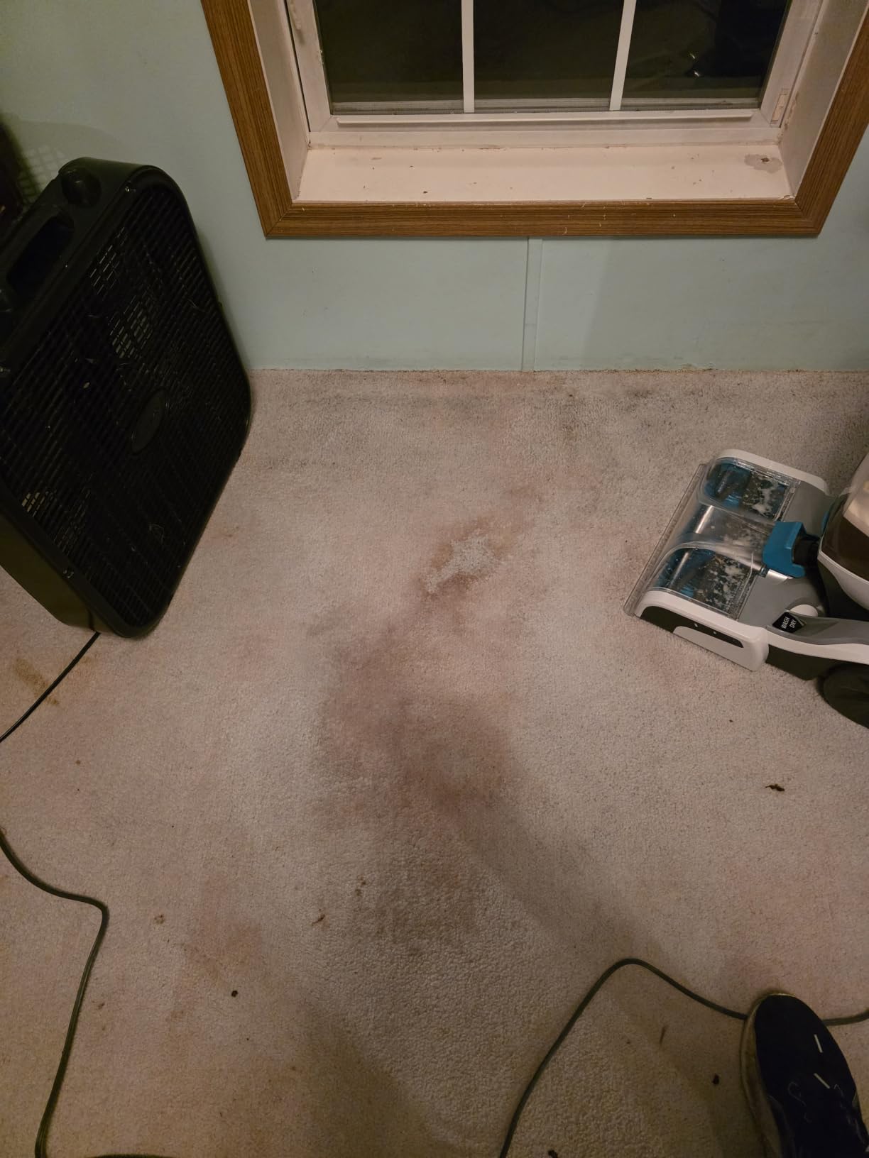 Hoover SmartWash+ Automatic Carpet Cleaner Machine customer photo 2