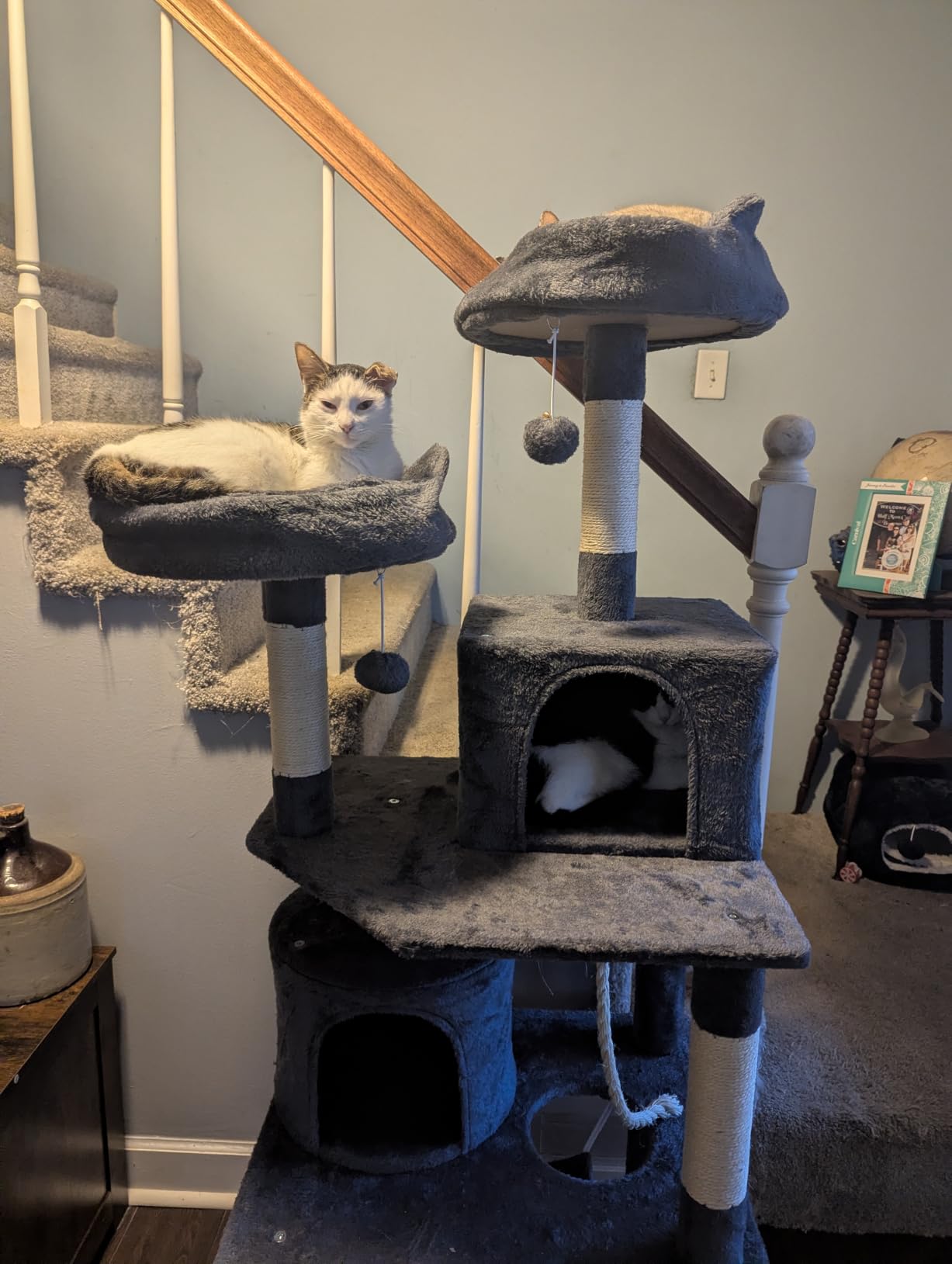 Yaheetech 62.5in Tall Cat Tree w/2 Cat-Ear Perches & 2 Condos, Dark Gray customer photo 1
