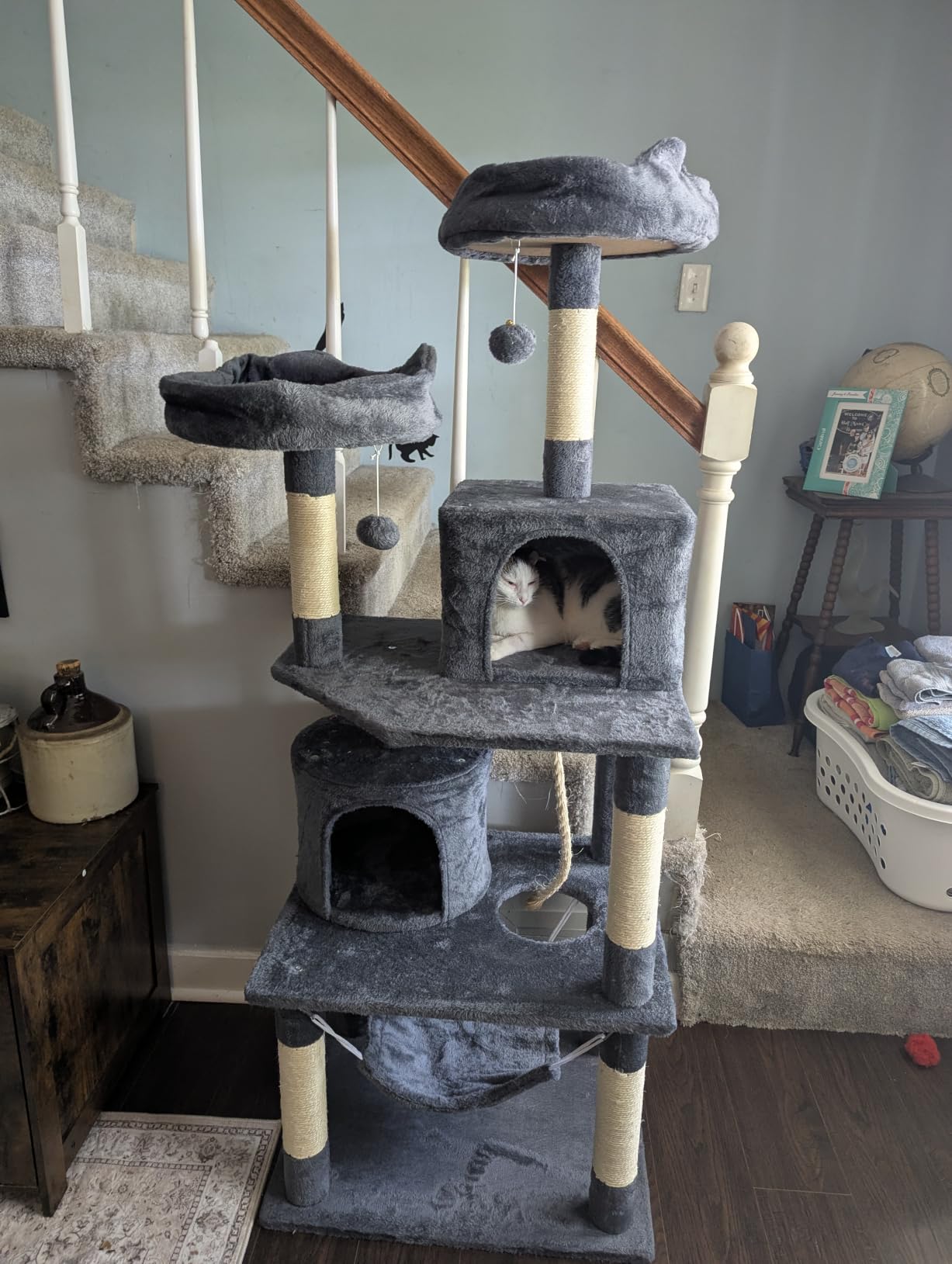 Yaheetech 62.5in Tall Cat Tree w/2 Cat-Ear Perches & 2 Condos, Dark Gray customer photo 2