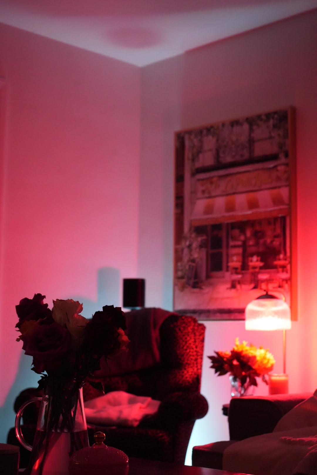Philips Hue Go Smart Portable Table Lamp, 1-Pack, White customer photo 2