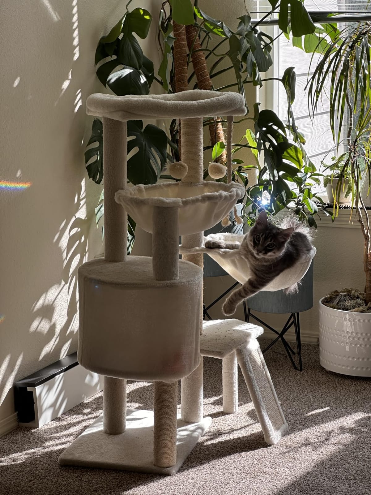 Three Layer Cat Tree with Cat Condo and Two Hammocks,Grey customer photo 2
