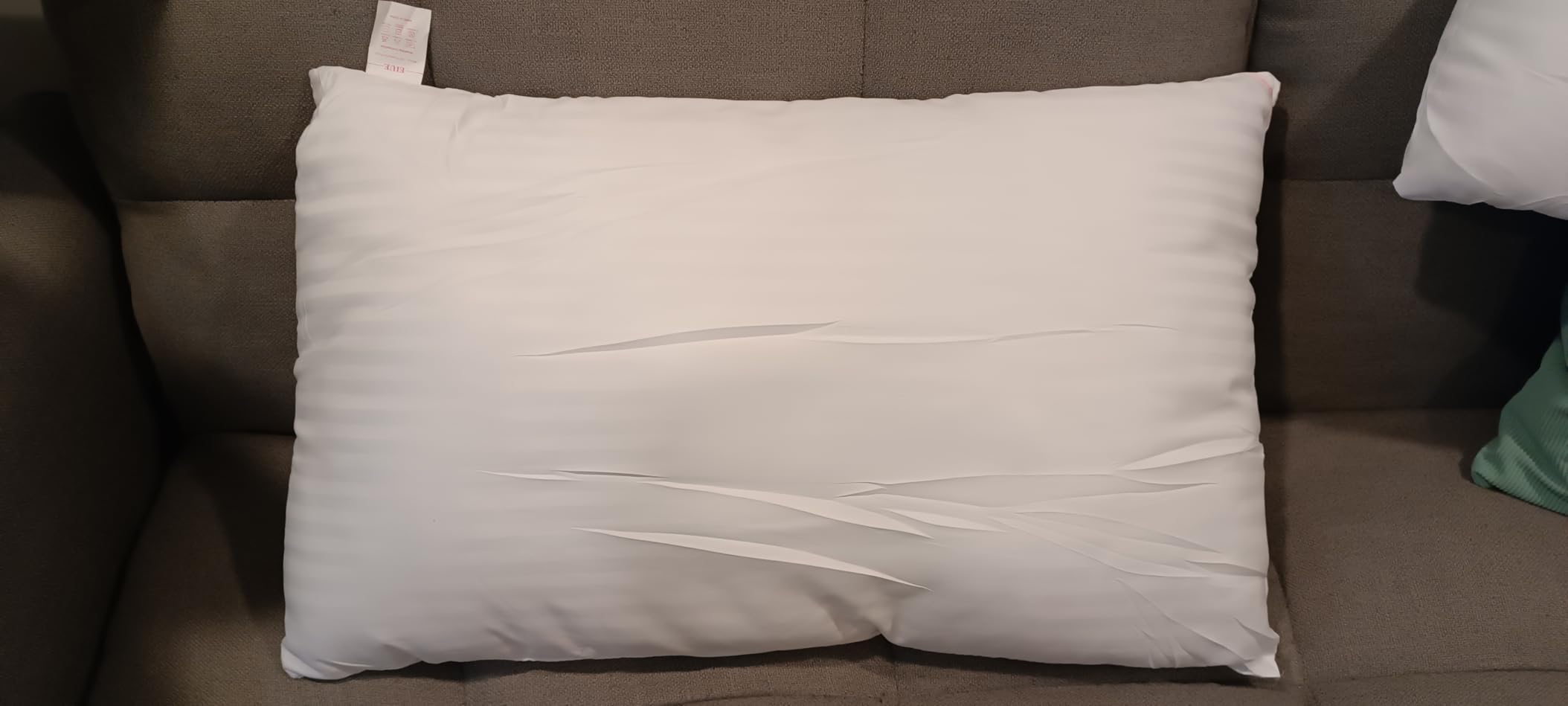 EIUE Hotel Collection Bed Pillows for Sleeping 2 Pack Queen Size，Pillows for Side and Back Sleepers,Super Soft Down Alternative Microfiber Filled Pillows,20 x 30 Inches customer photo 2