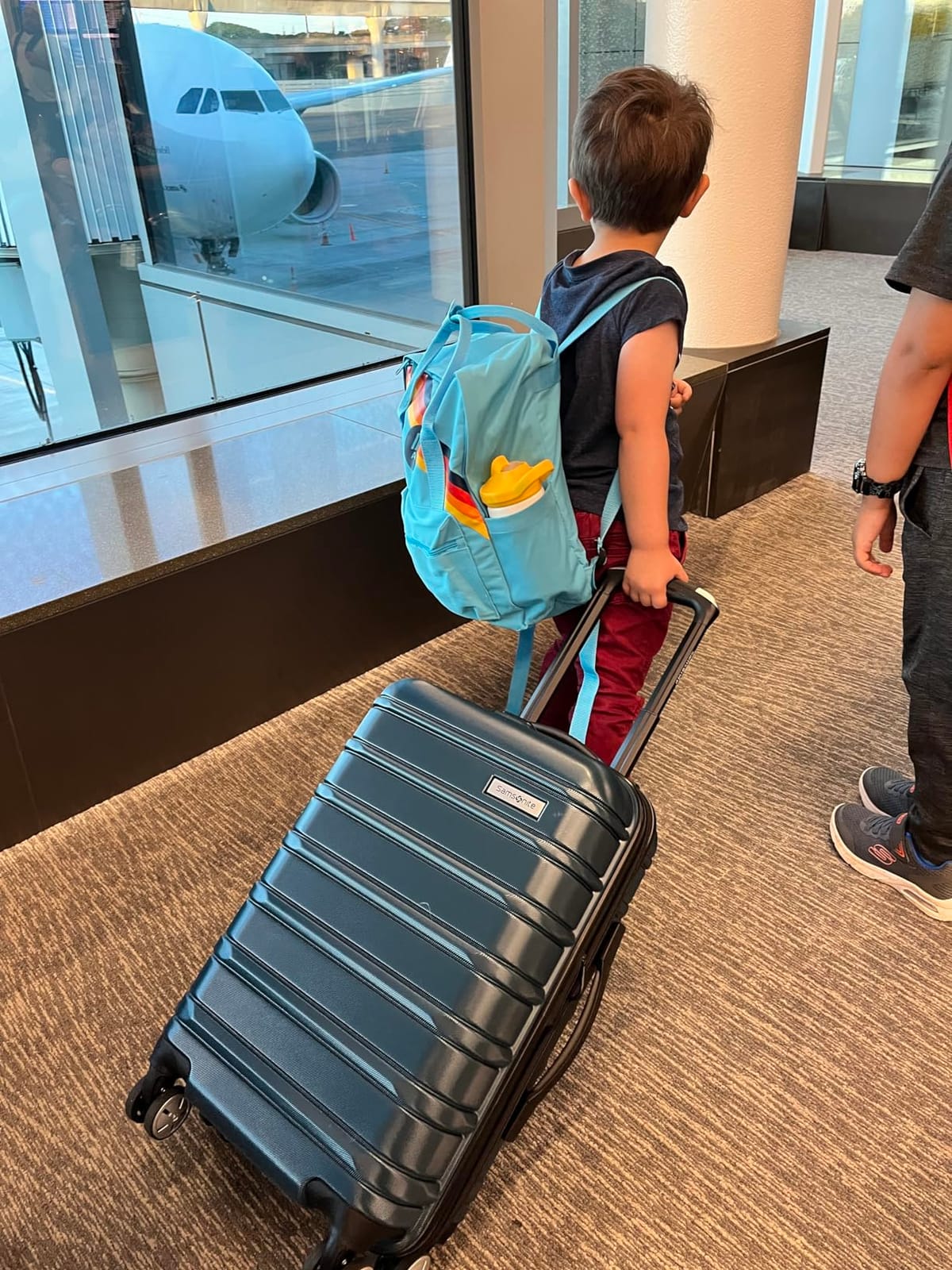 Samsonite Omni 2 Hardside Expandable Luggage with Spinner Wheels, 2-Piece Set (19/24), Lagoon Blue customer photo 2
