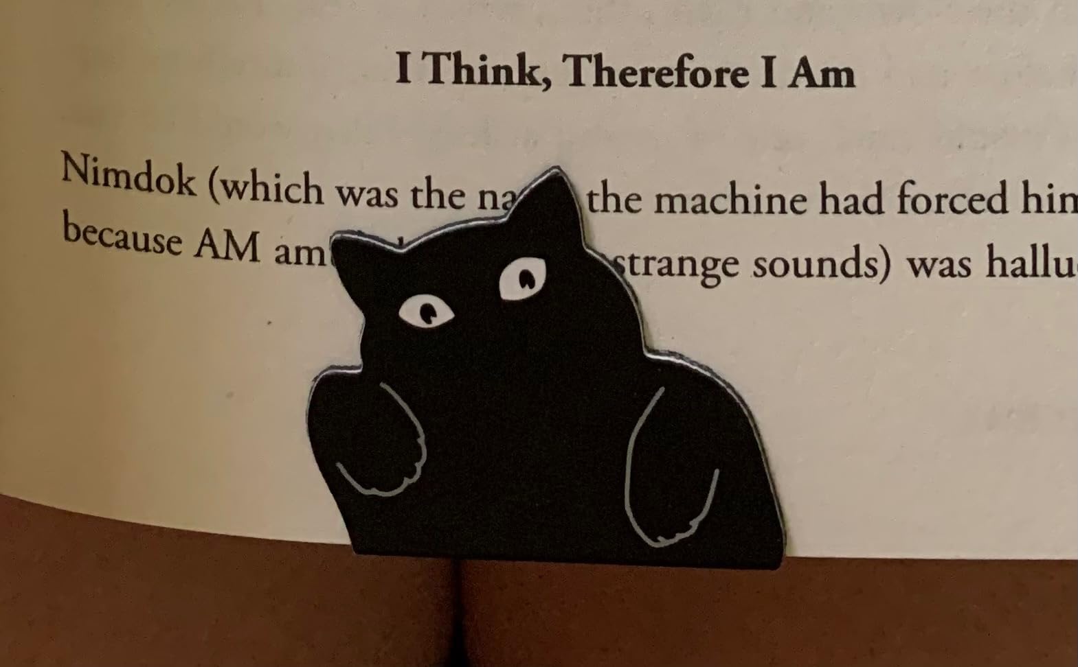 yasest Magnetic Bookmarks - 6 Pieces Assorted Cute Book Markers Clip Set for Women Teachers Students Book Lovers Reading, for School Office Home Supplies, Kawaii Cat Magnet Page Markers customer photo 1