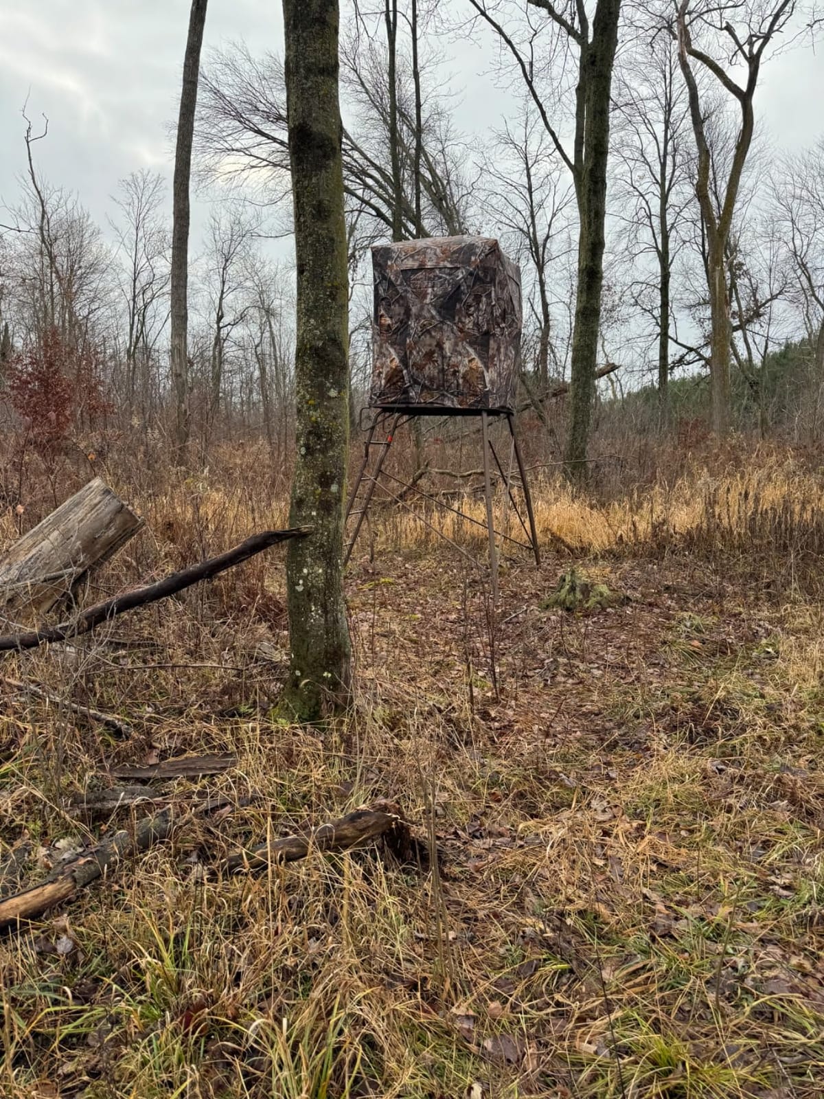 VENATIC 6 Foot Tripod Hunting Tower Blind, 2 Person Stand Elevated, 4'x4' Hunting Gear Equipment Accessories for Deer Hunting customer photo 2
