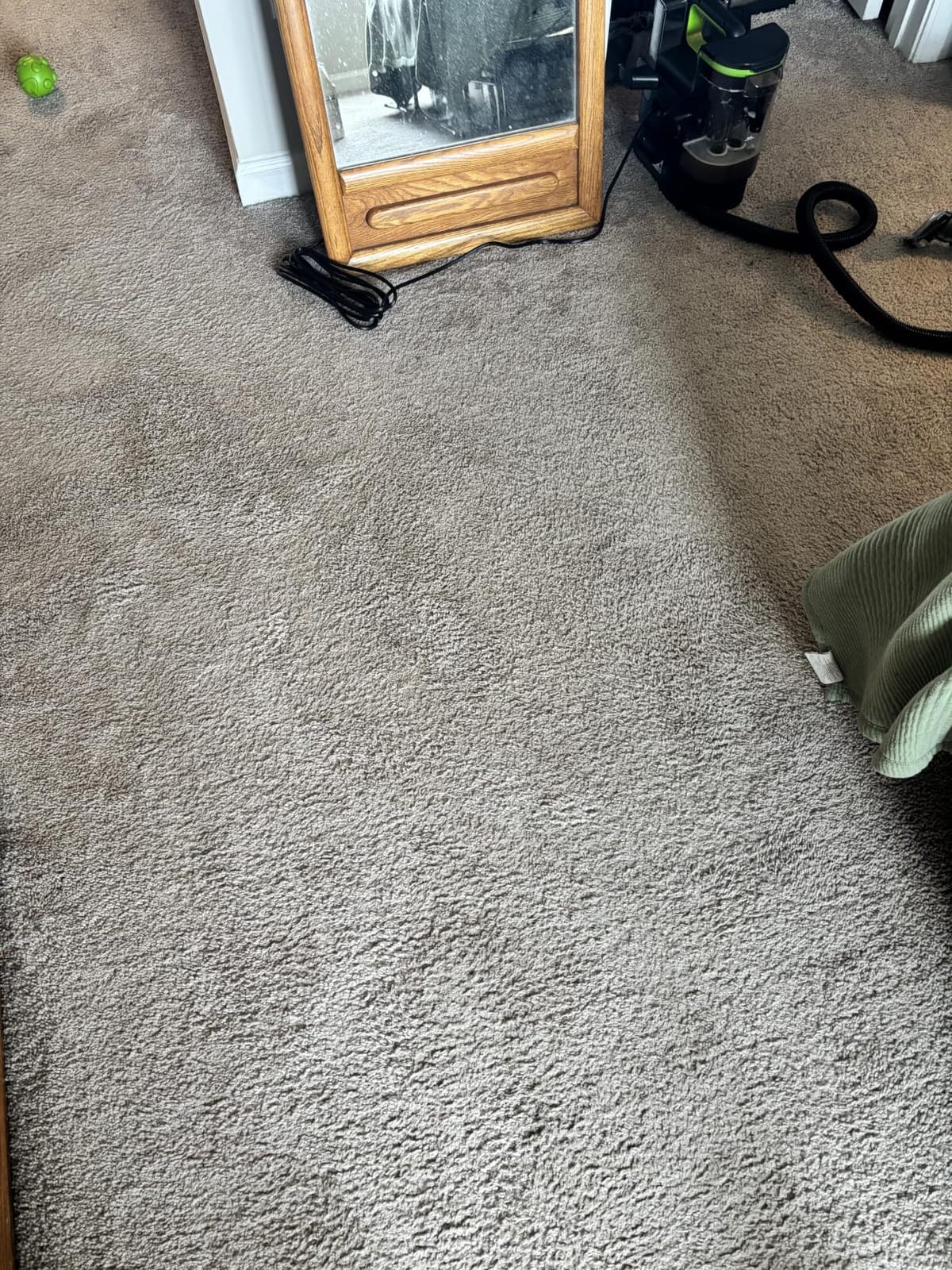 BISSELL Little Green Max Pet SmartMix Carpet Cleaner, 38572 customer photo 1