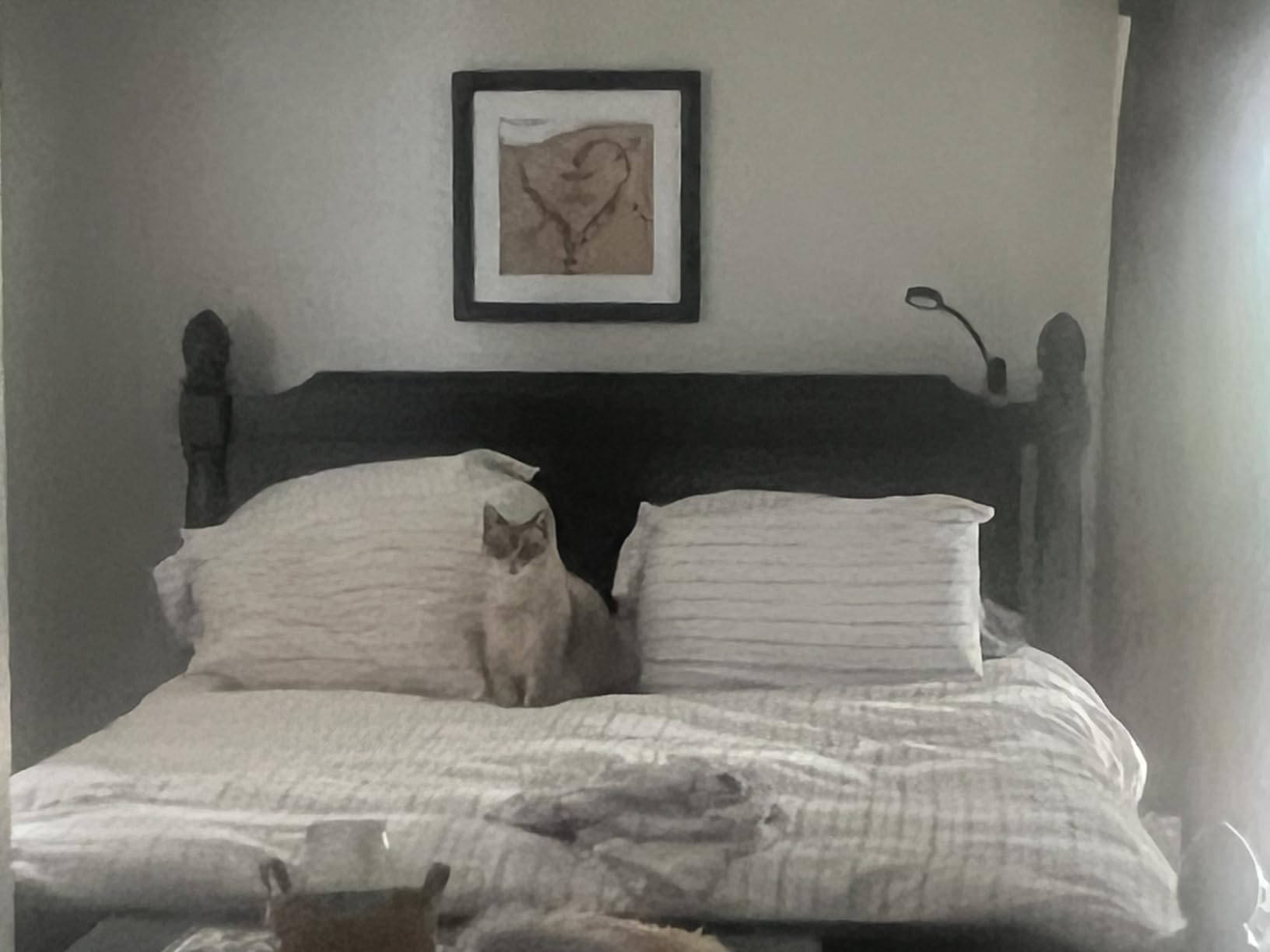 Martha Stewart Hotel Luxury White Goose King Feathers Down Fiber Comforter customer photo 1