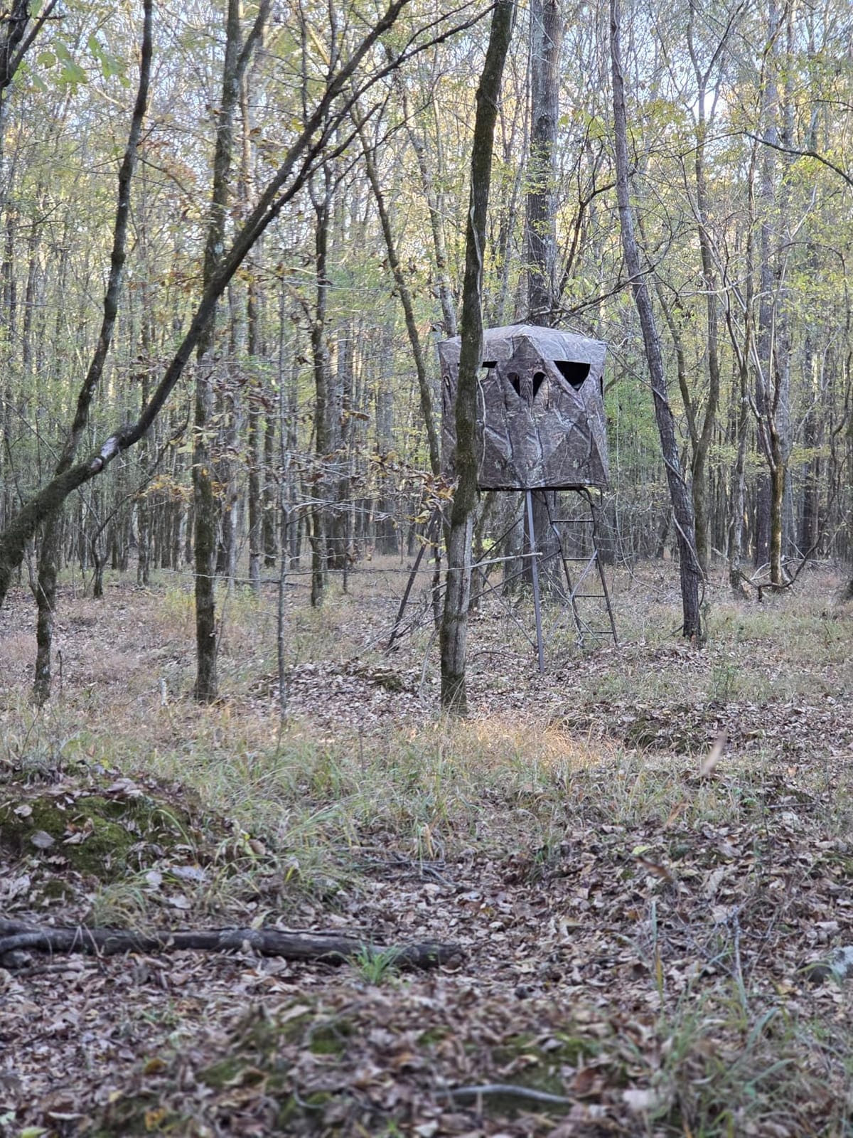 Guide Gear 6 Foot Tripod Hunting Tower Blind, 2-Man Stand Elevated, Hunting Gear Equipment Accessories, 4 by 4 customer photo 1